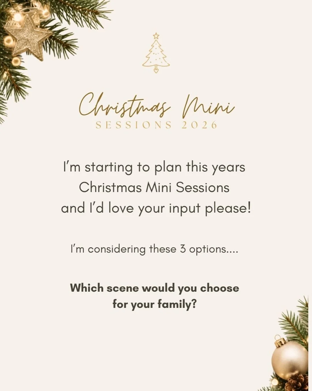 Christmas Mini Sessions 2026 🎄

I know, I know... it&rsquo;s only August! 😂 But if you know me you&rsquo;ll know that means I&rsquo;m already thinking about Christmas Mini Sessions!
I&rsquo;m currently trying choose the Christmas backdrops for this