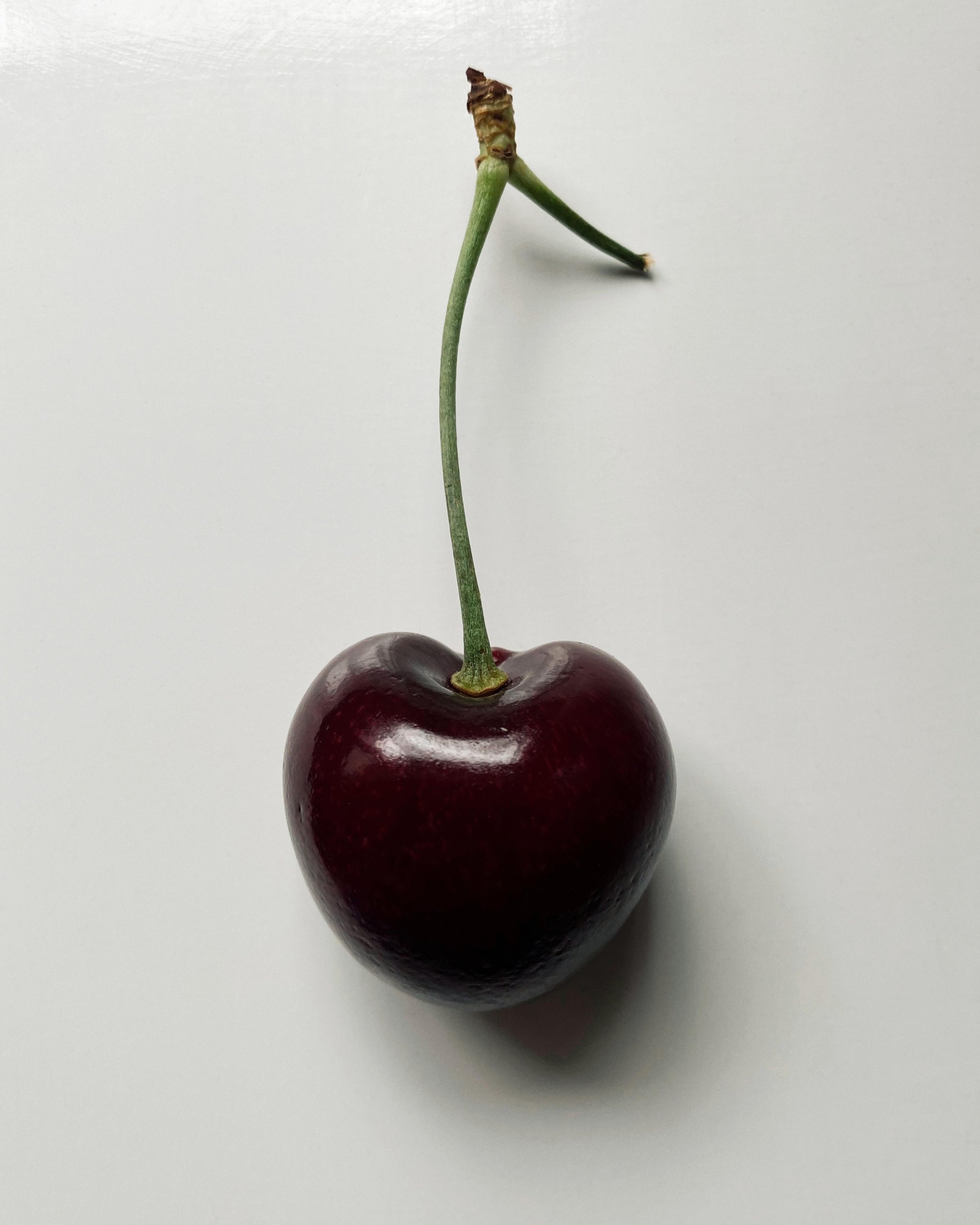 WhatsApp Image 2024-11-12 at 12.10.39 (3).jpeg