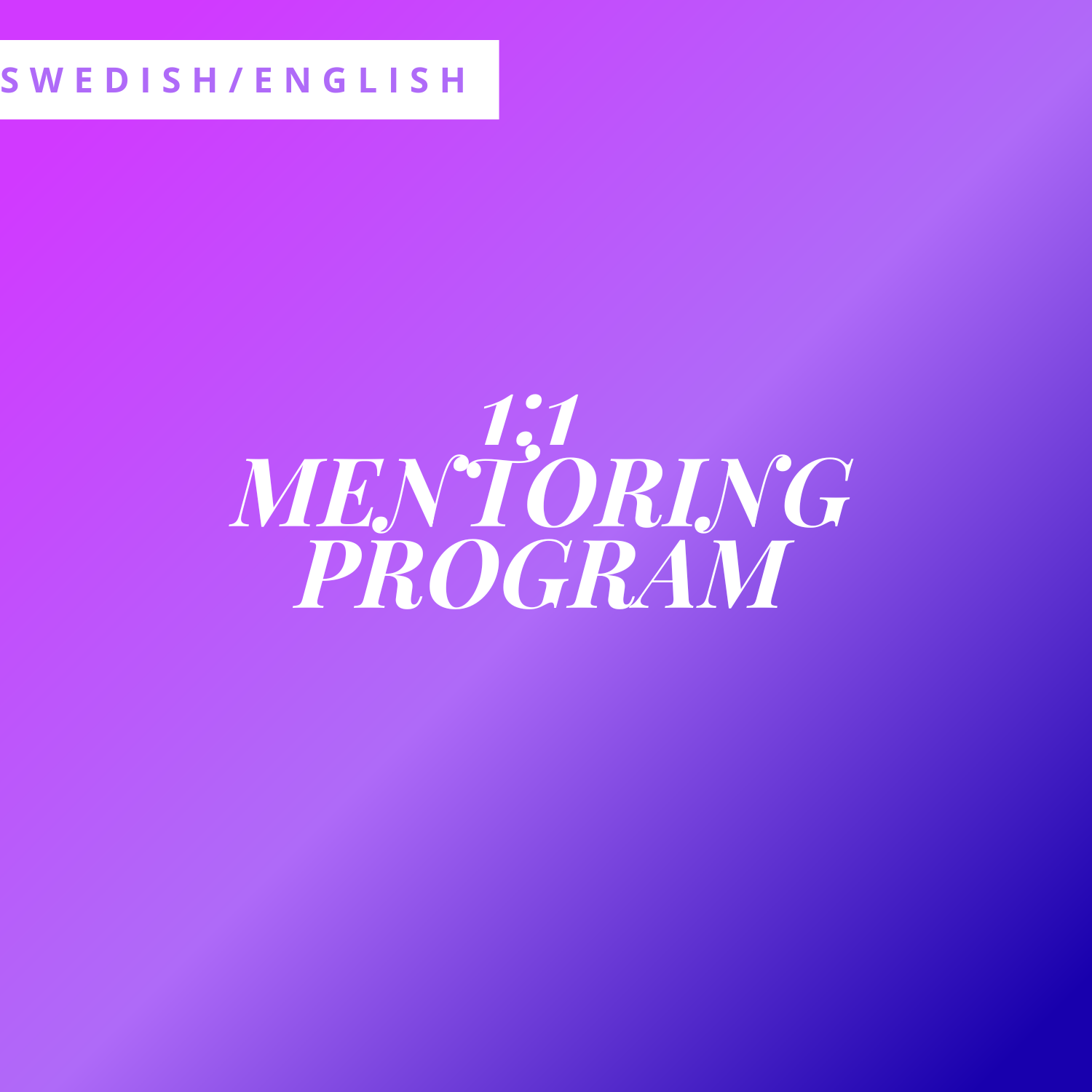 1:1 Mentorskap