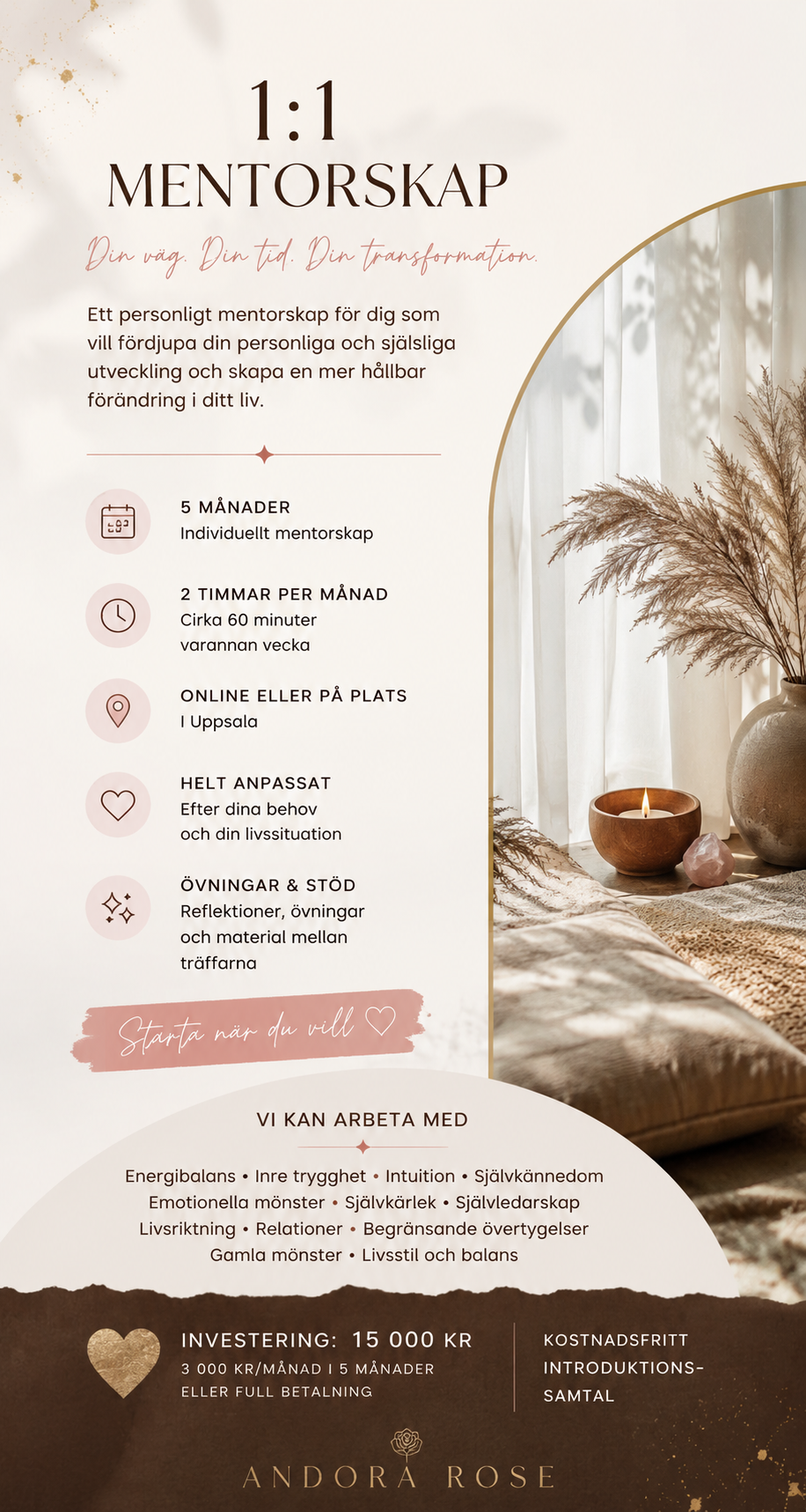 1:1 Mentorskap