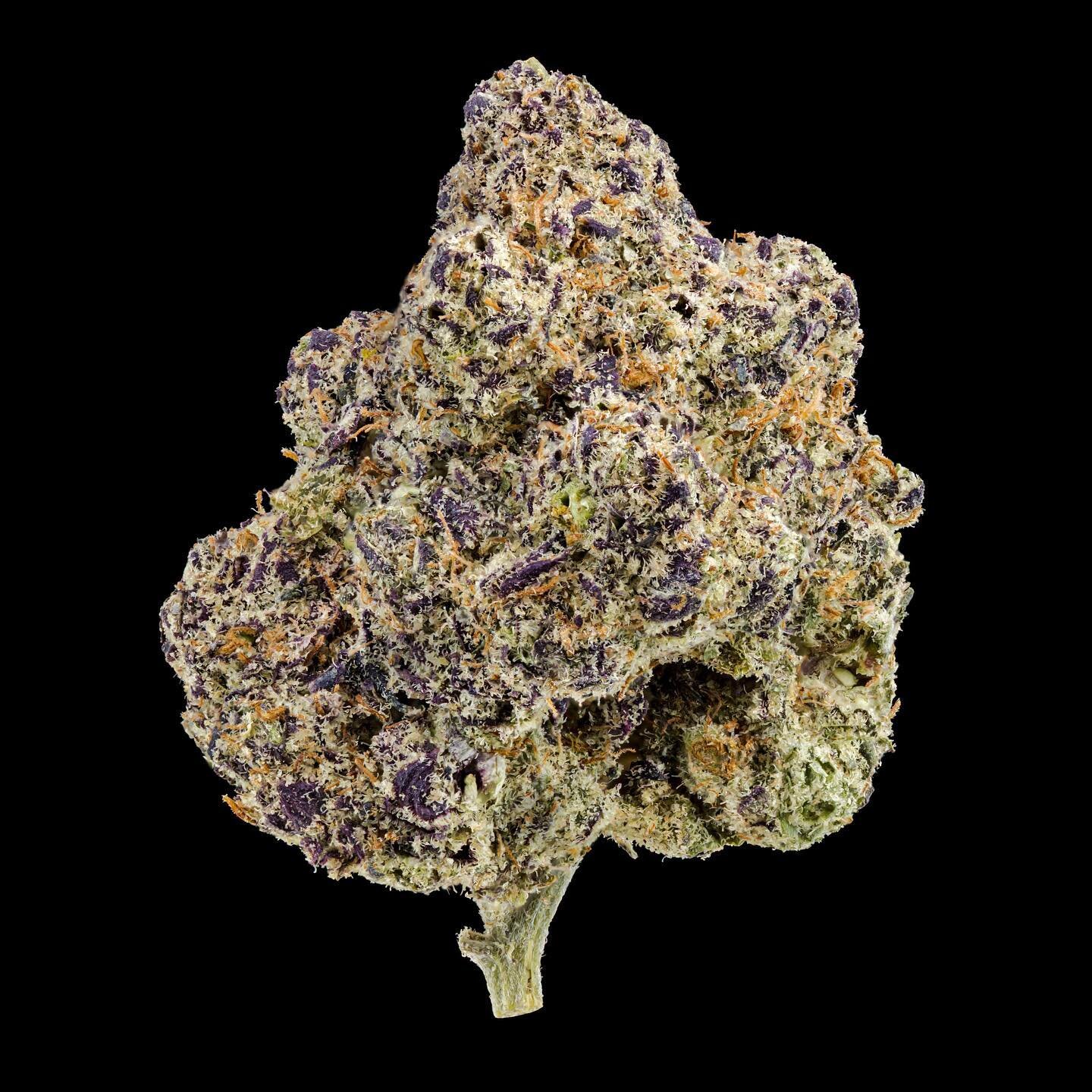 Zoo Dawg by @thegrowercircle 🤤

She packs a super heavy high that's full of both heady and physical effects. You'll feel an intense euphoria at the onset of the high, smashing into your brain with ape-like power and leaving you feeling lifted and pr