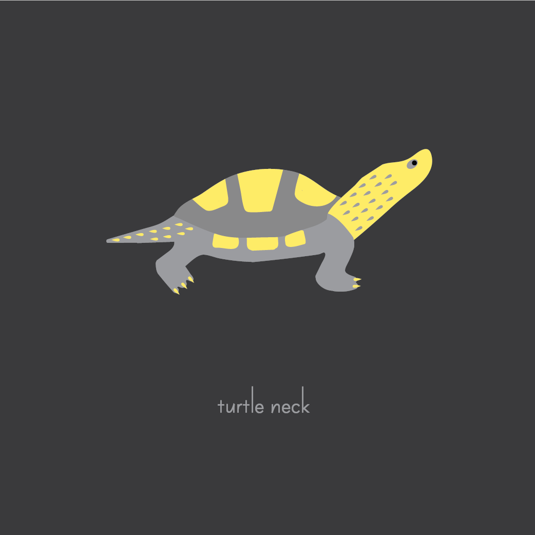 turtleneck pantone colors of year-01.png