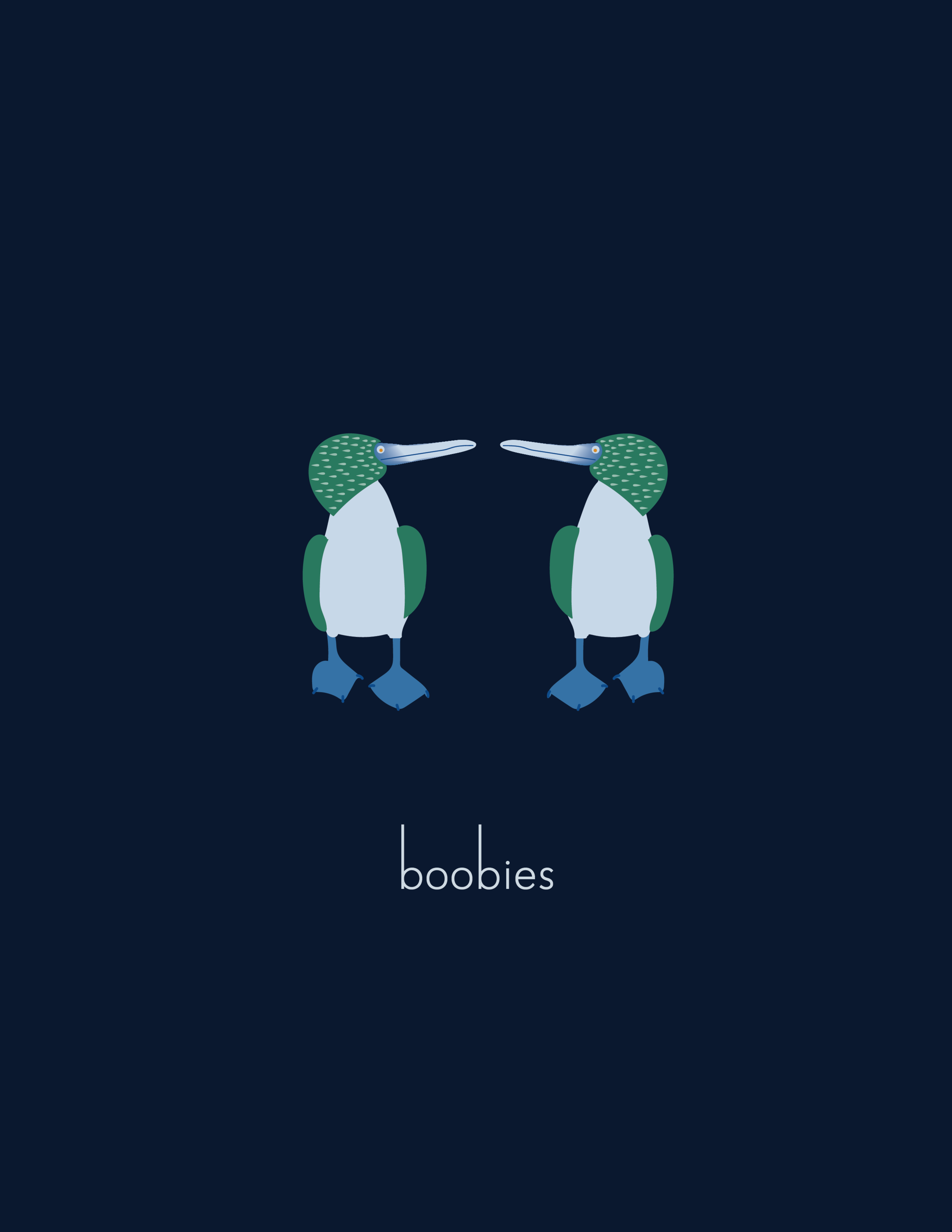 boobies graphic large-01.png