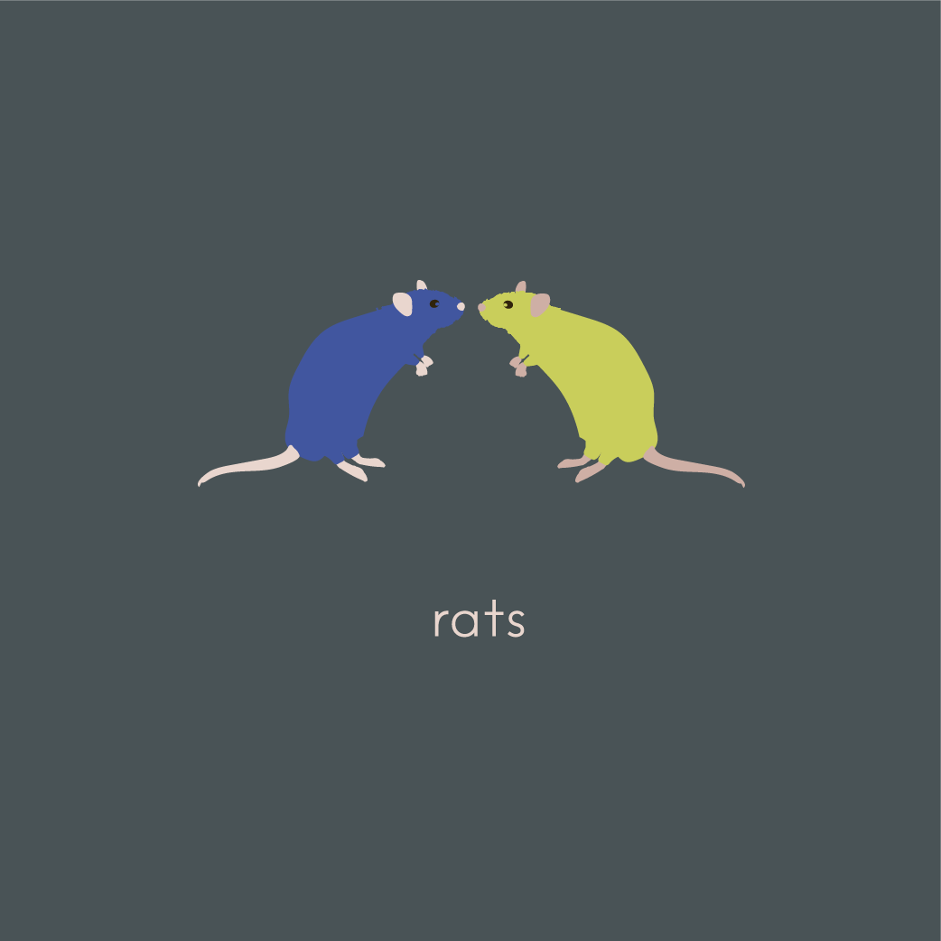 rats-01.png