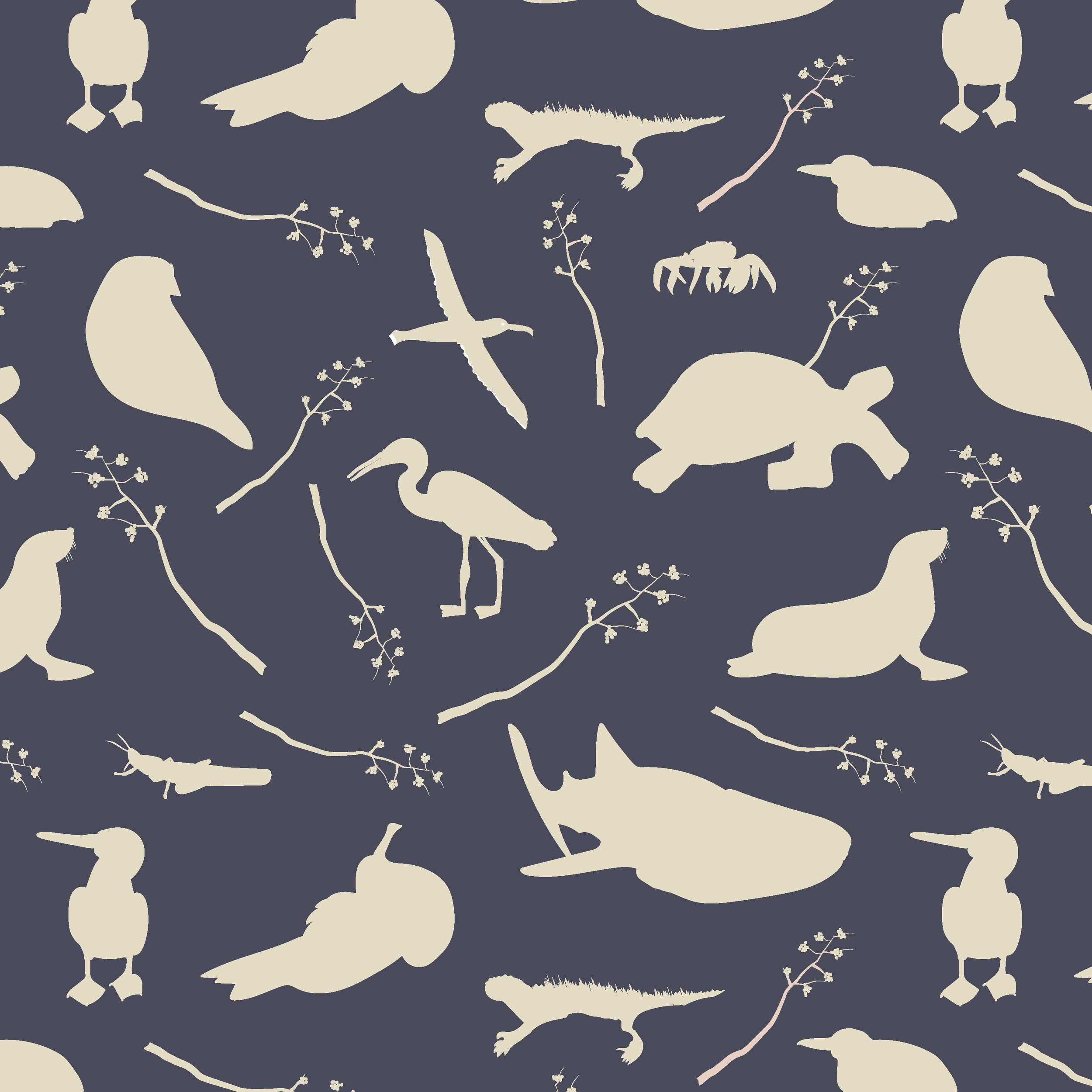 galapagos new LARGE-01.png