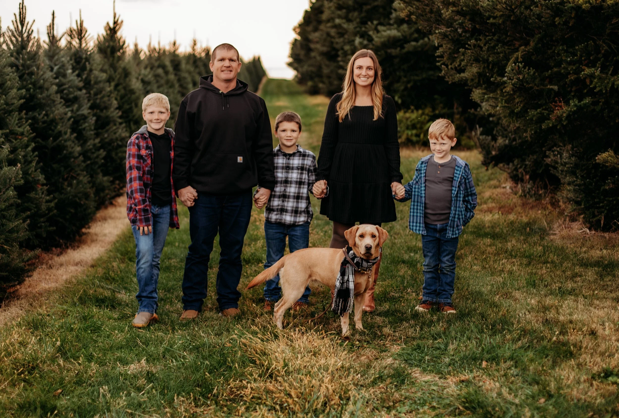 Family of five members, including a man, woman, three boys, and a dog, holding hands while standing outdoors in a tree farm during sunset.