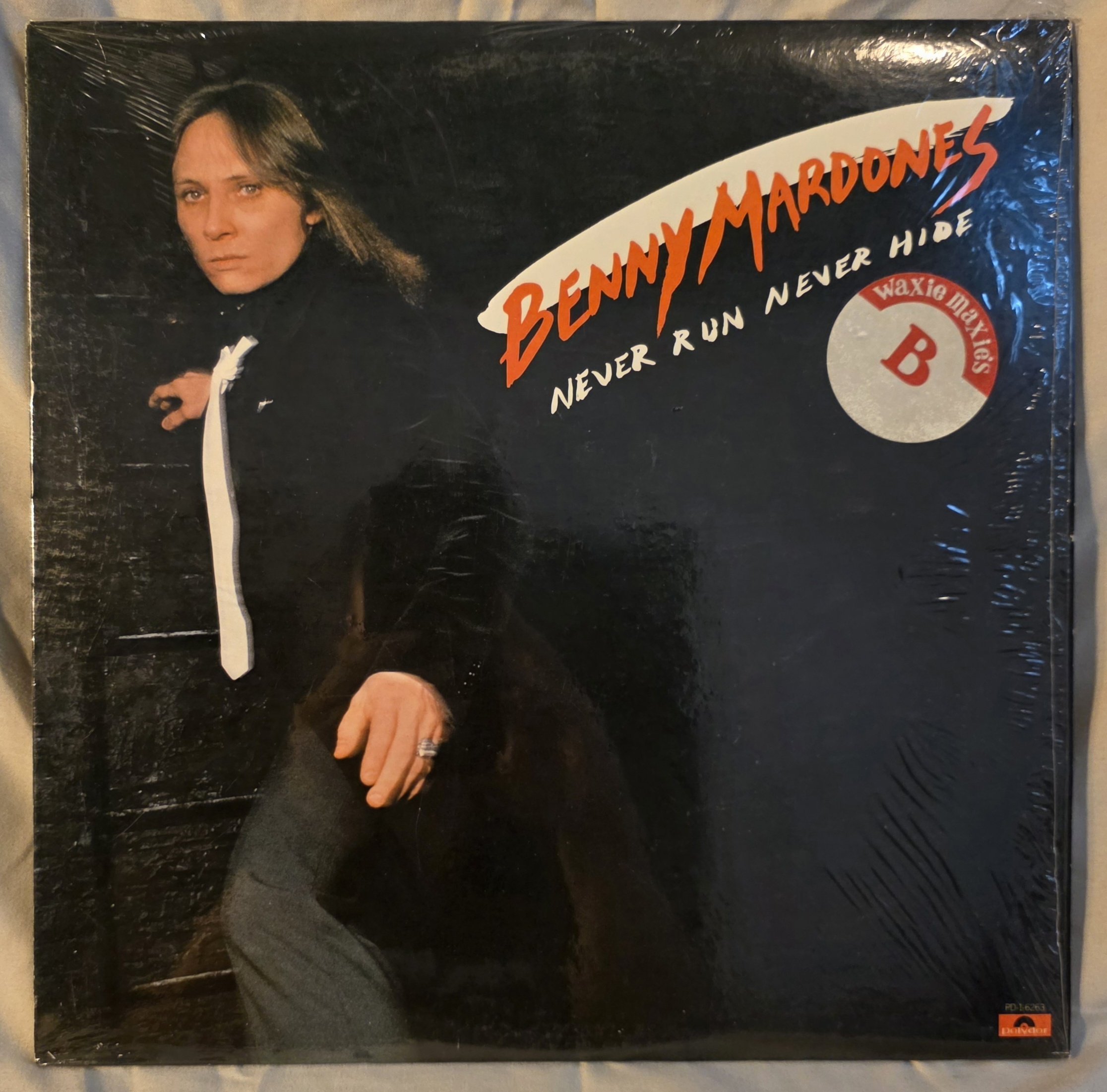 Benny Mardones - Never Run, Never Hide