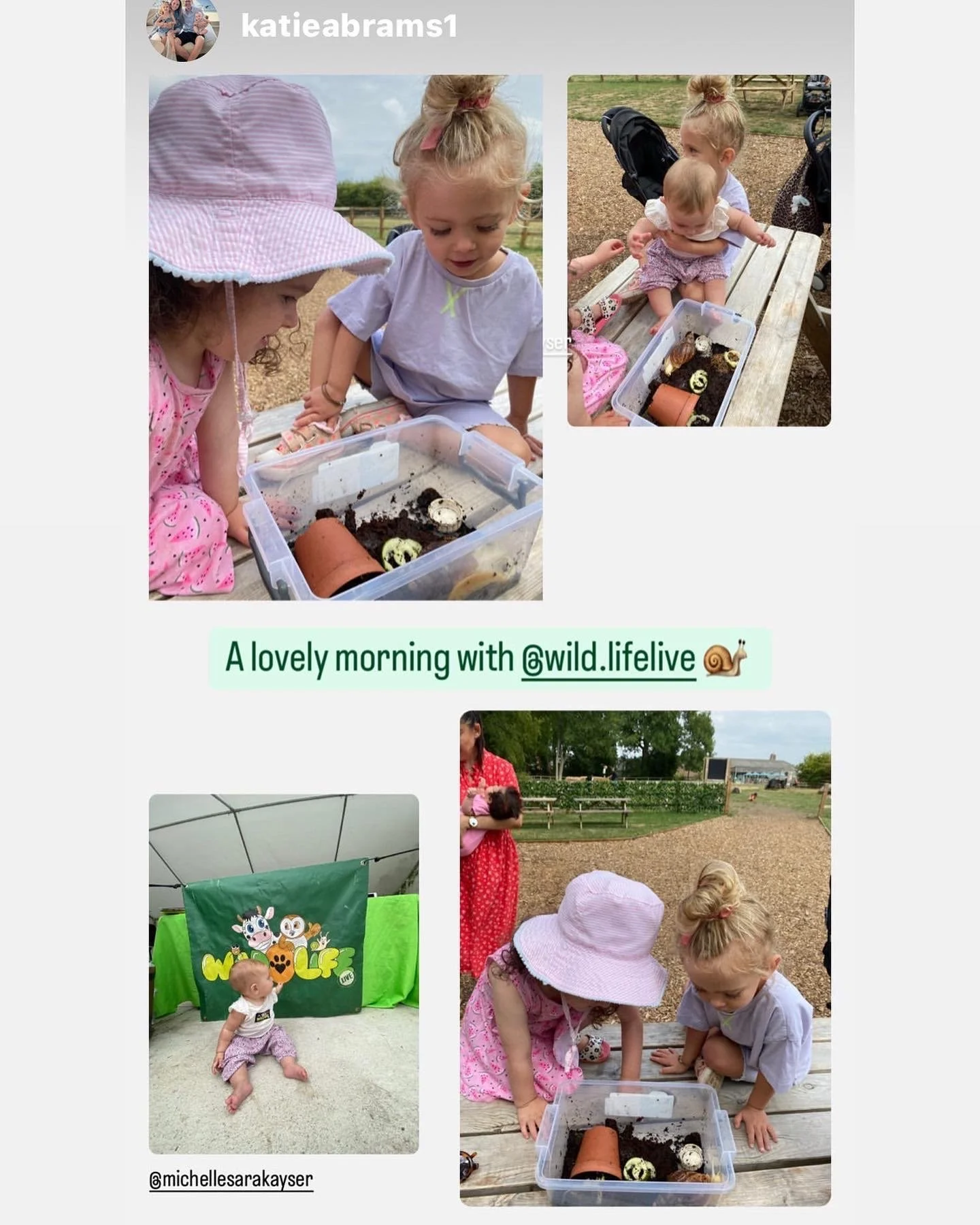 Bug Explorers Katie Abrams review pic.JPG