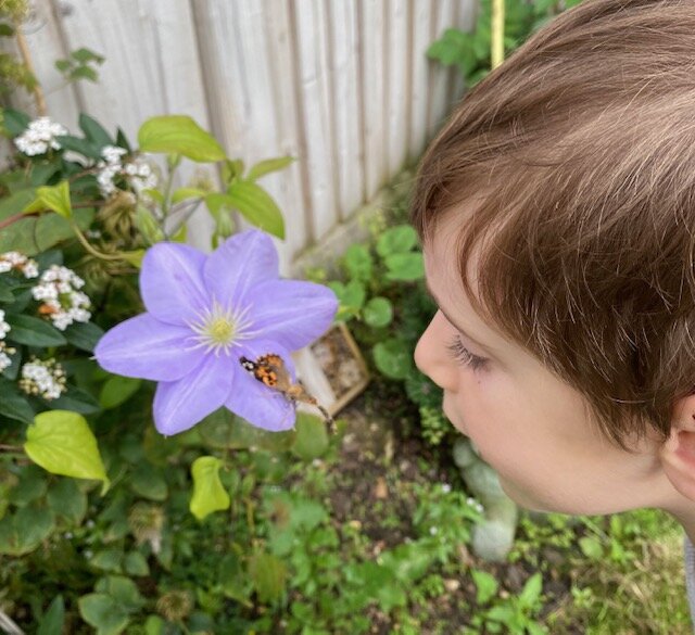 Jake and flower and butterfly.jpg