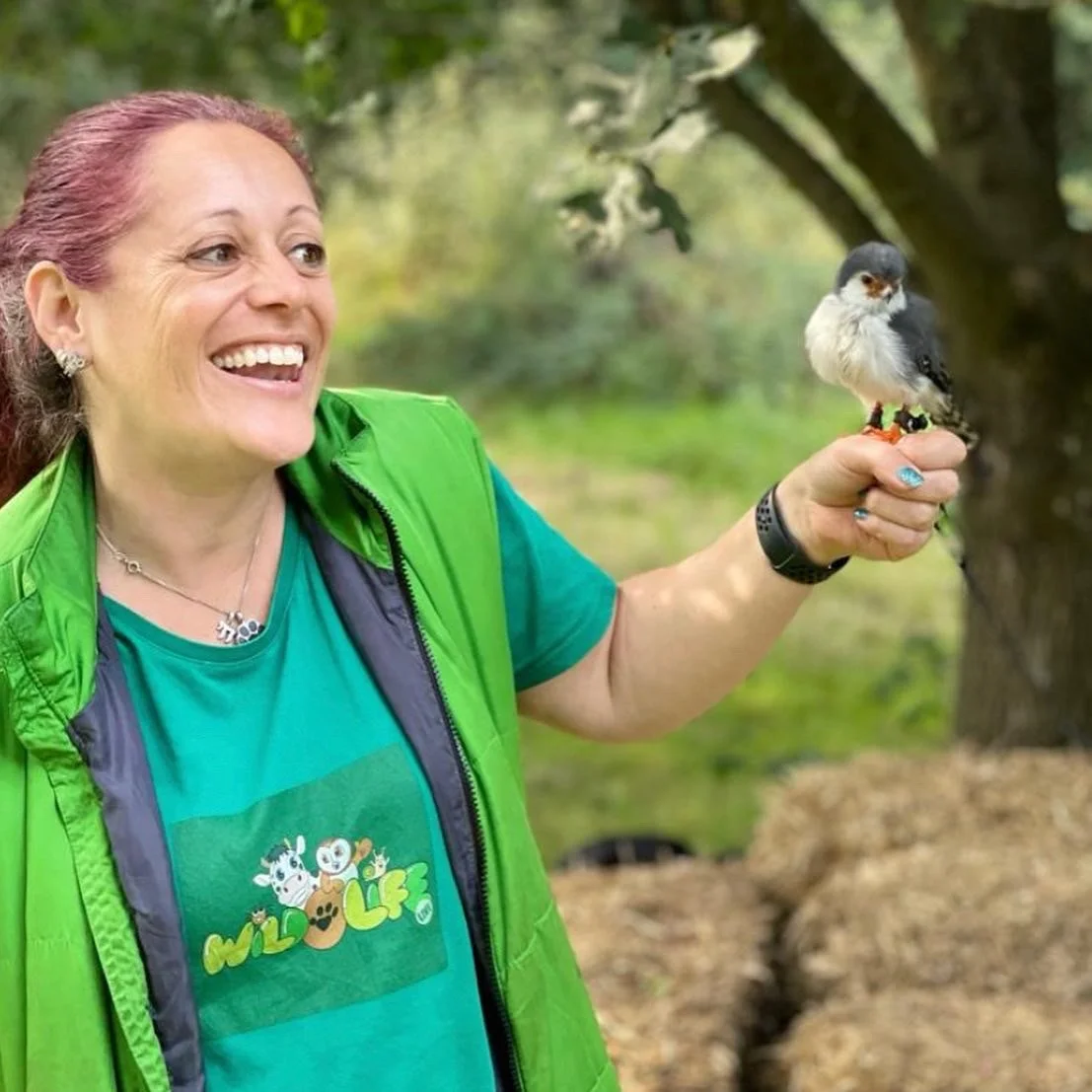 Me laughing holding Pygmy Falcon Roco.JPG