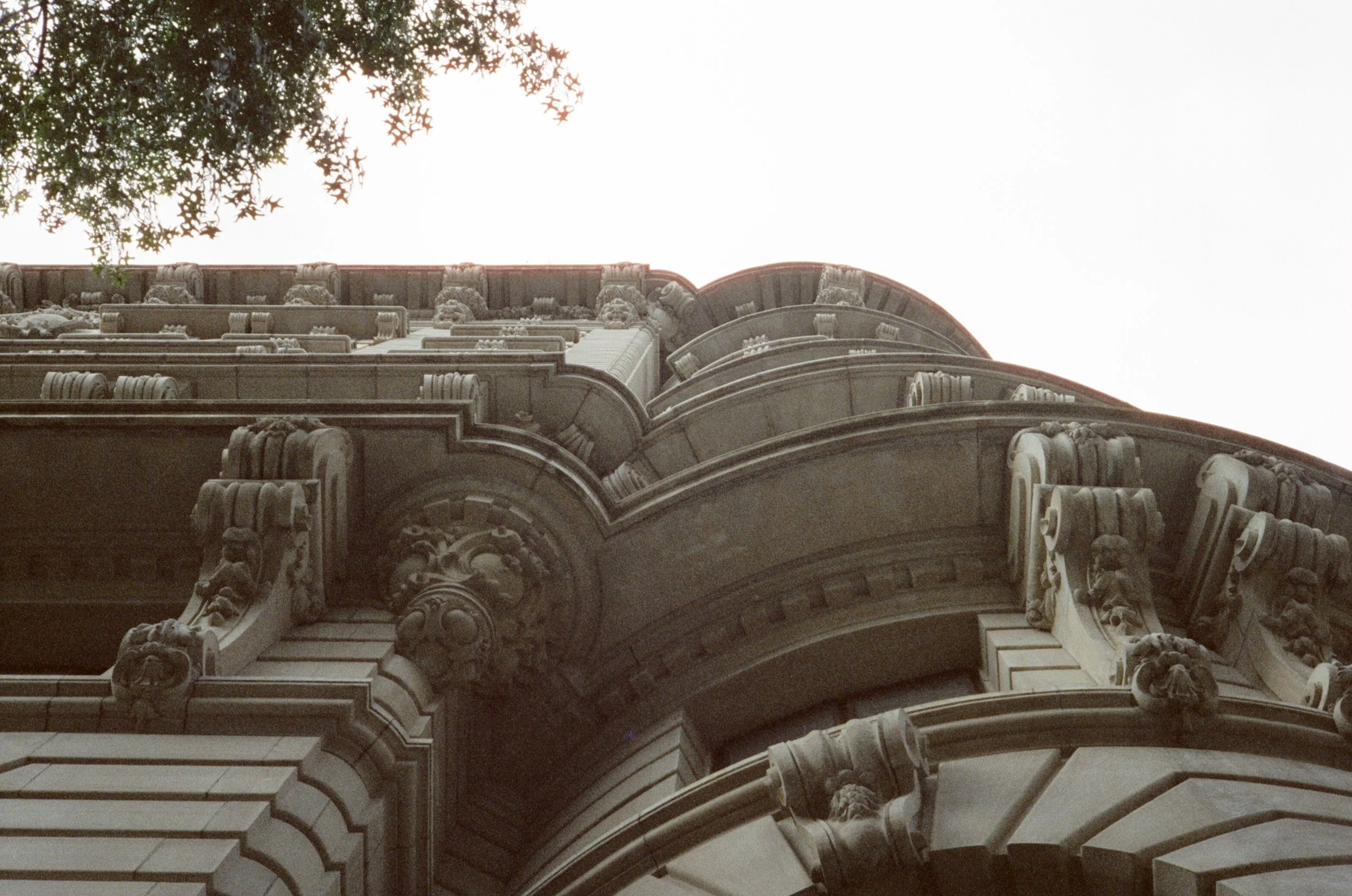 Leica M6. MC 800. 50mm Summicron f2.