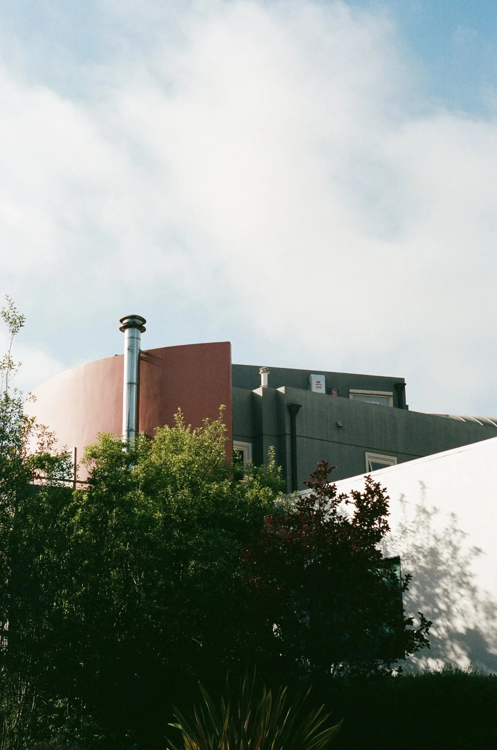 Leica M6. Portra 400. 50mm Summicron f2.