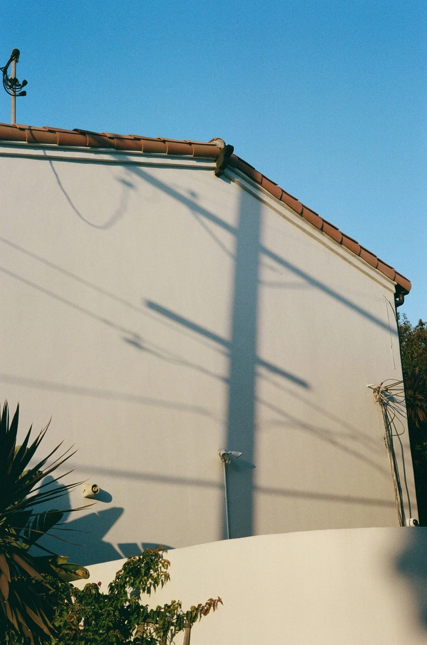 Leica M6. Portra 400. 50mm Summicron f2.