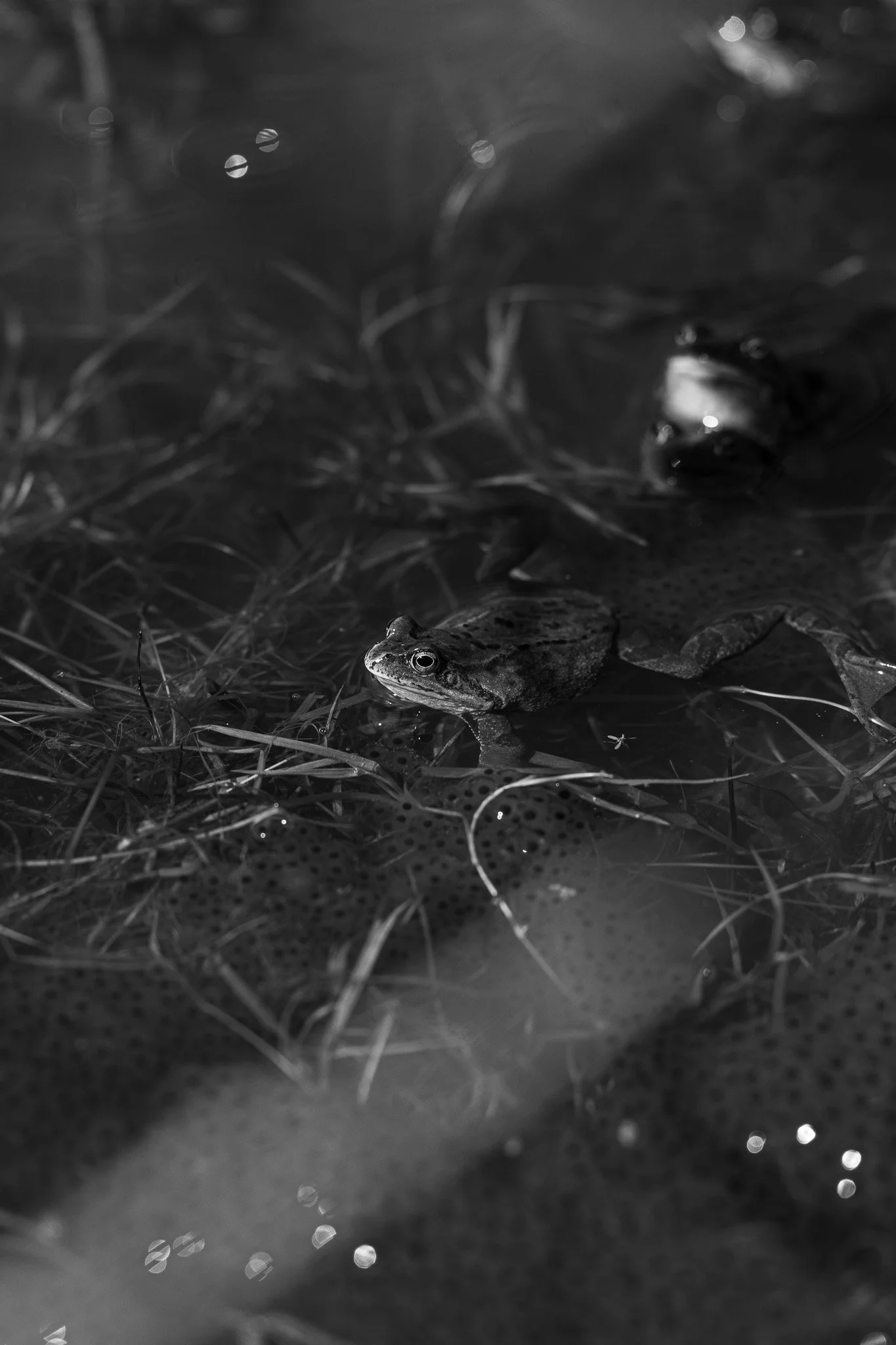DSC_7148.jpg