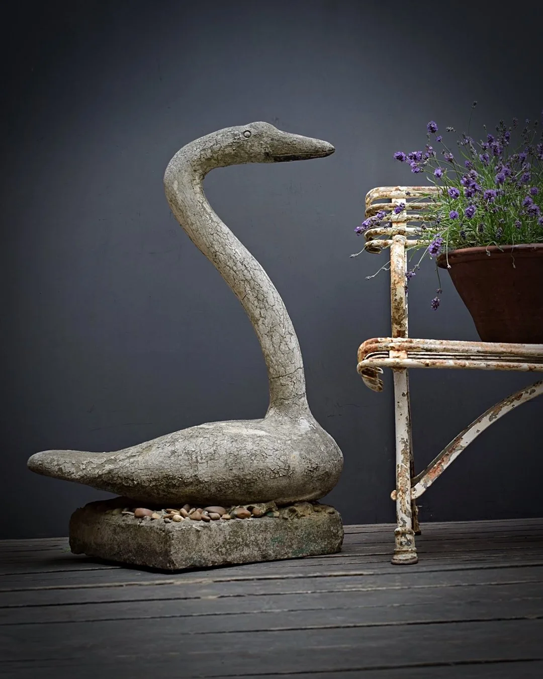 Swan_26.jpg