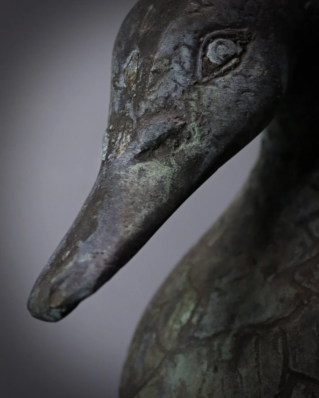 Verdigris_Duck_4.jpg