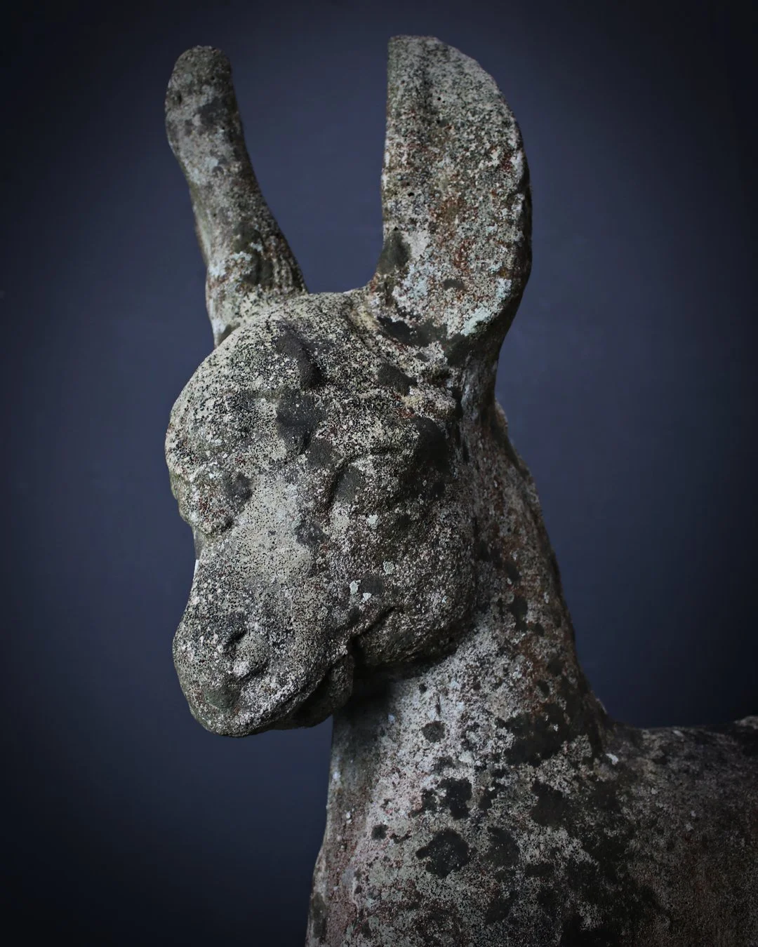 Mythical_Donkey_beast_Sculpture_2.jpg