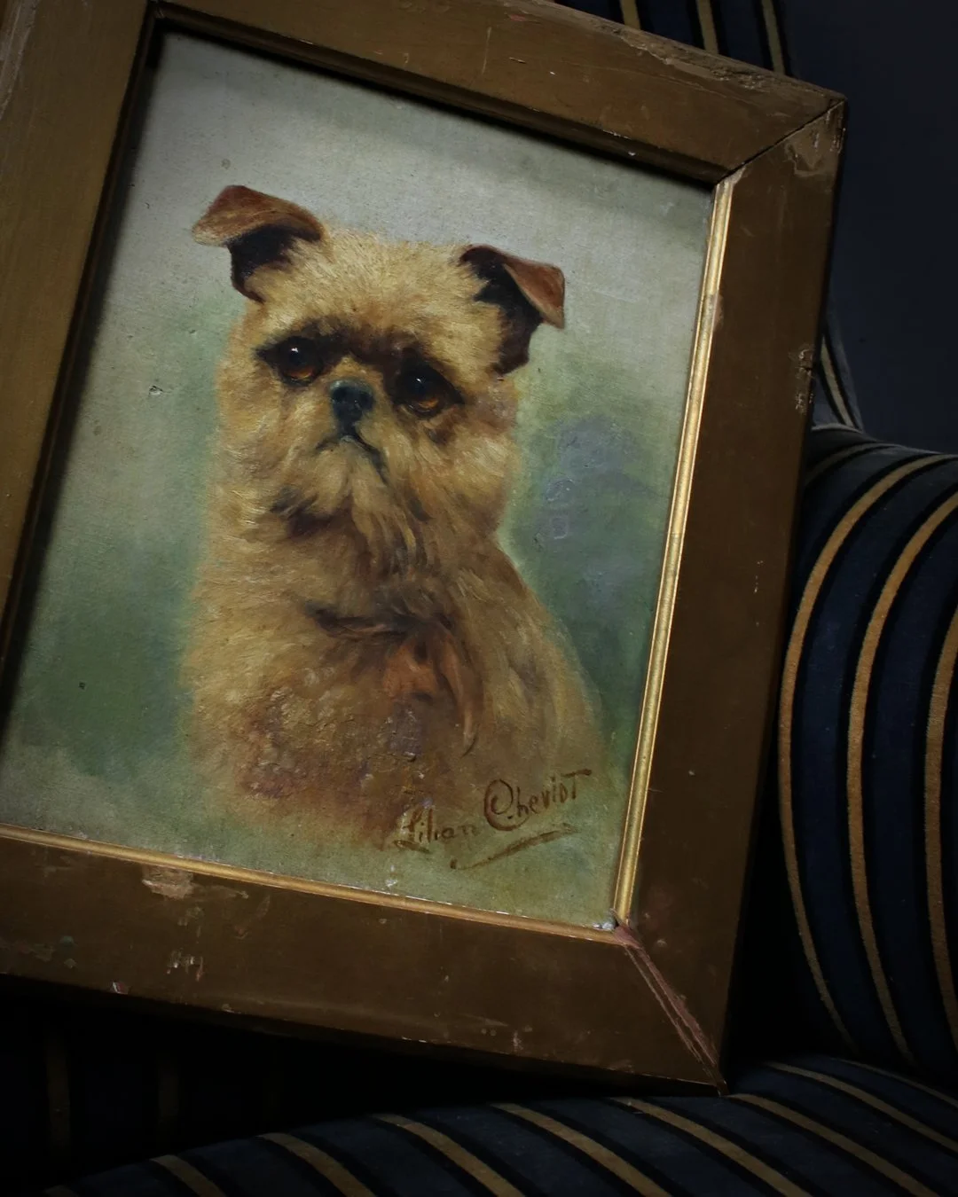 Lilian_Cheviot_Terrier_Oil_2.jpg