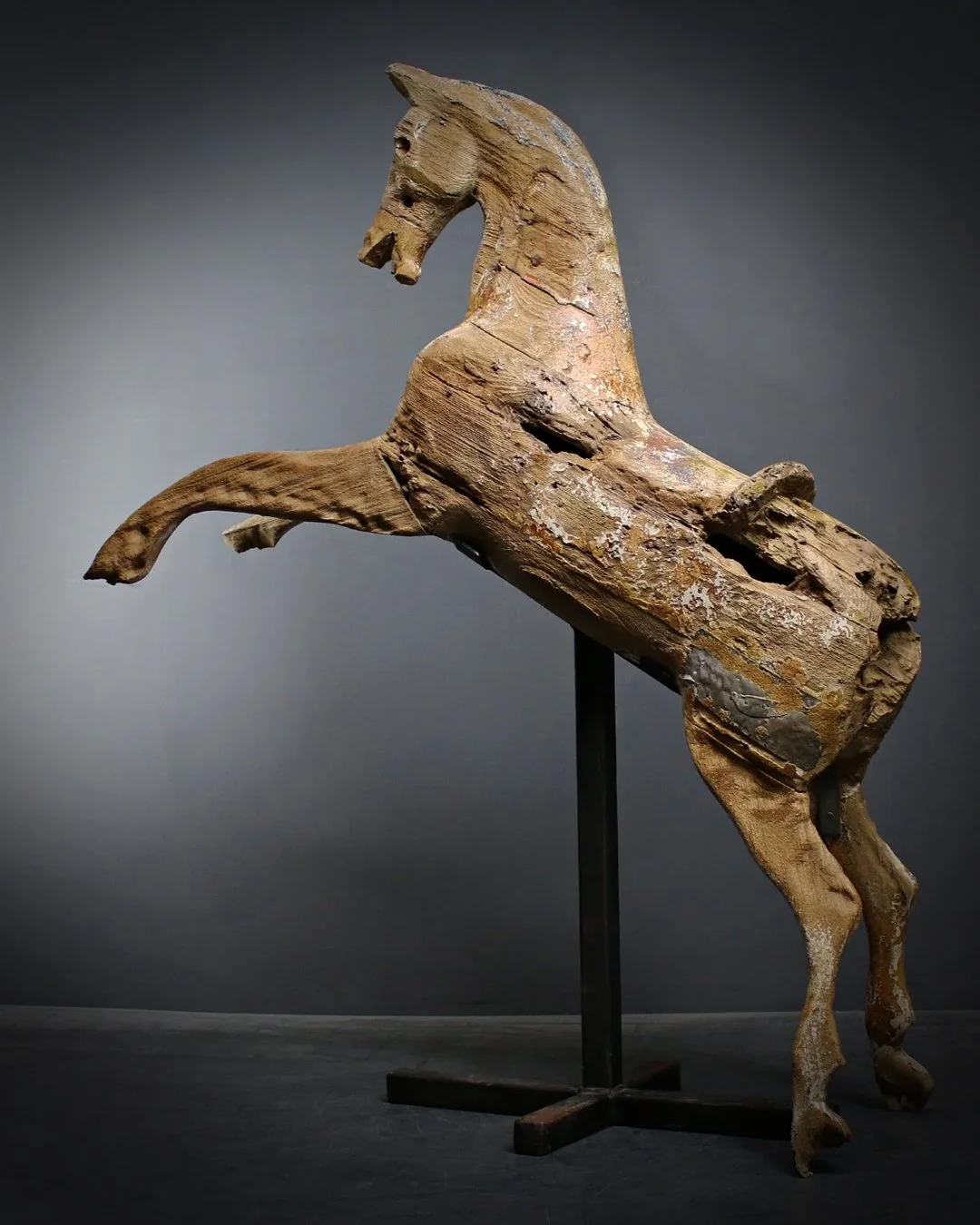 Galloper.jpg