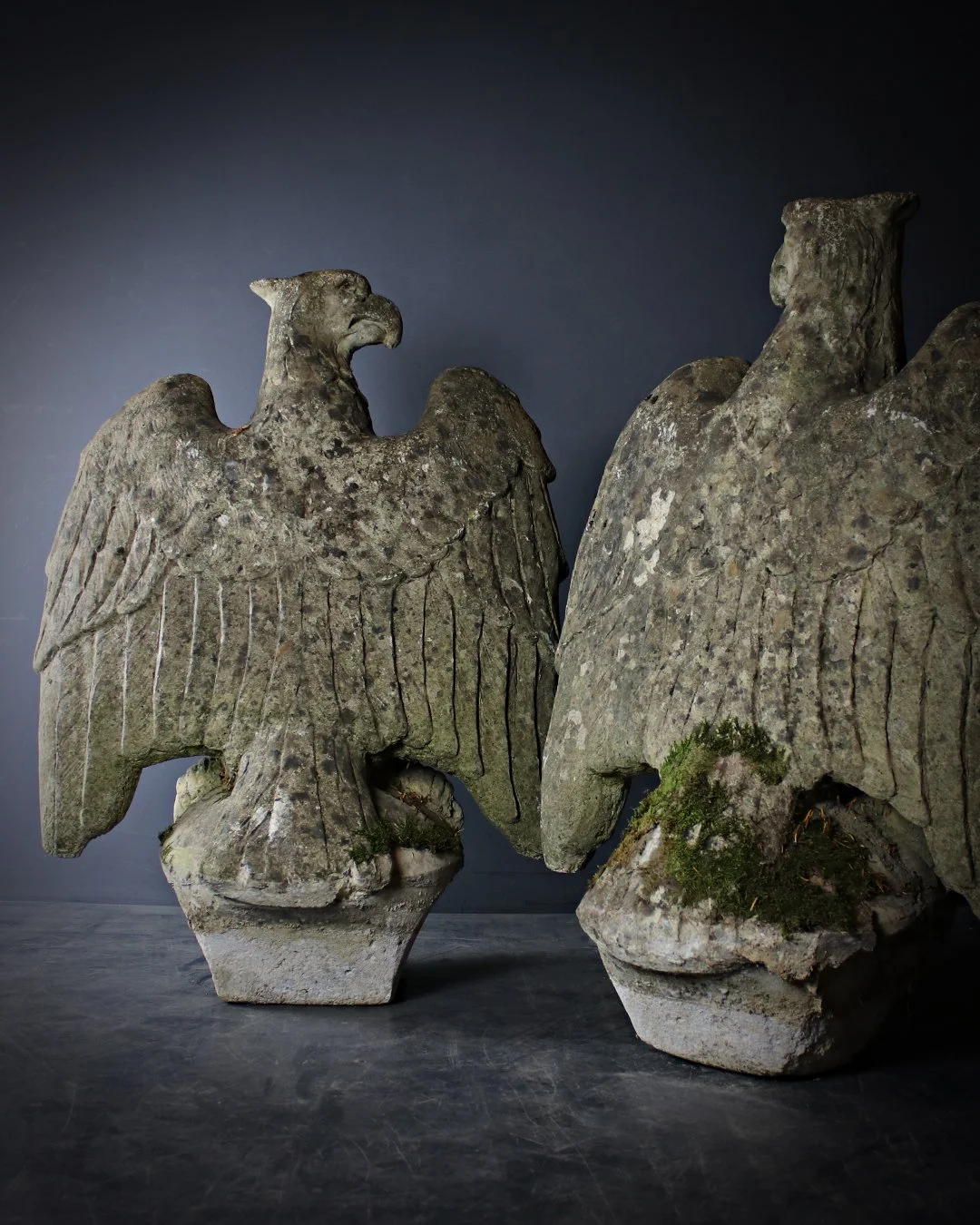 Pair_of_Eagles_5.jpg