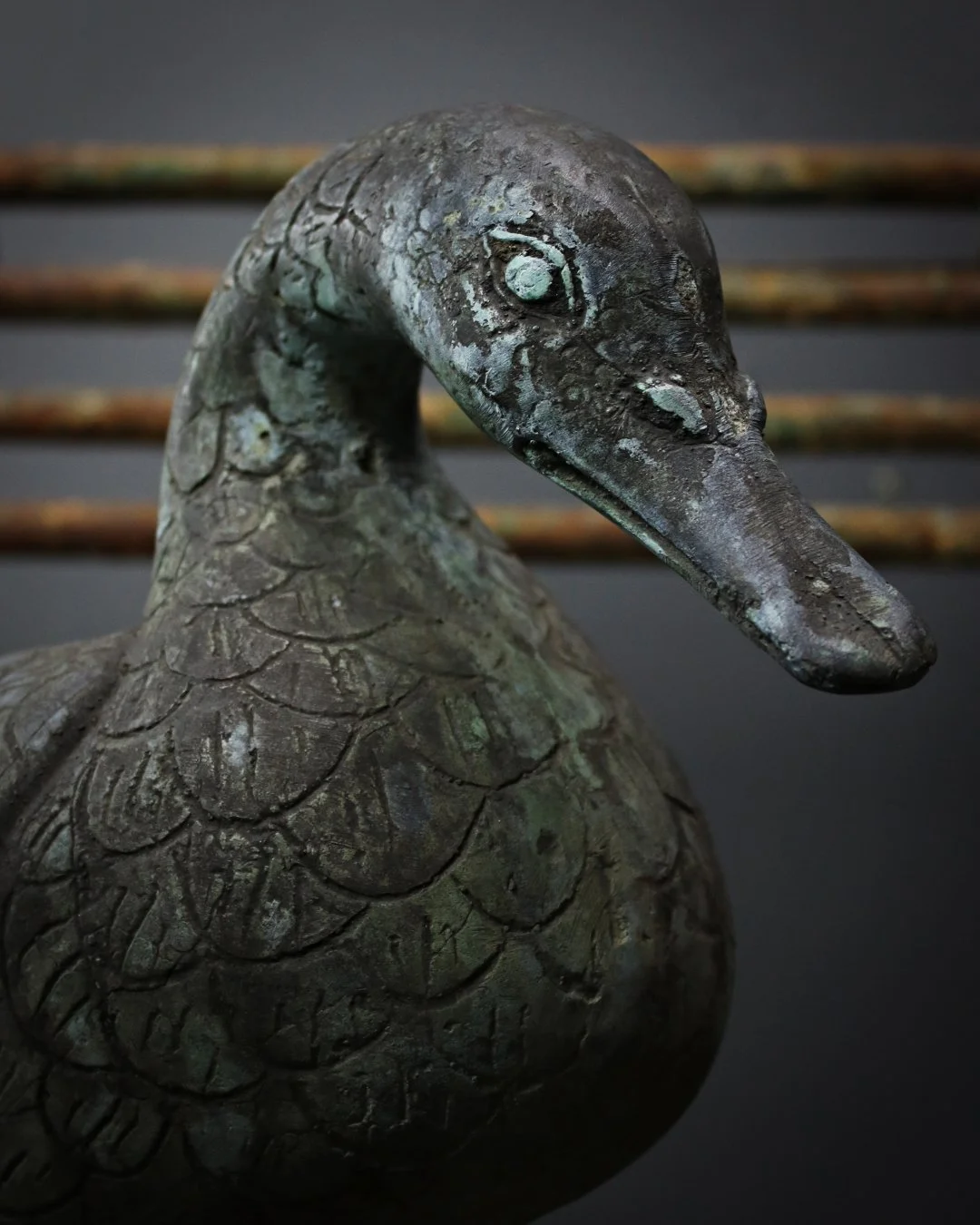 Verdigris_Duck_8.jpg
