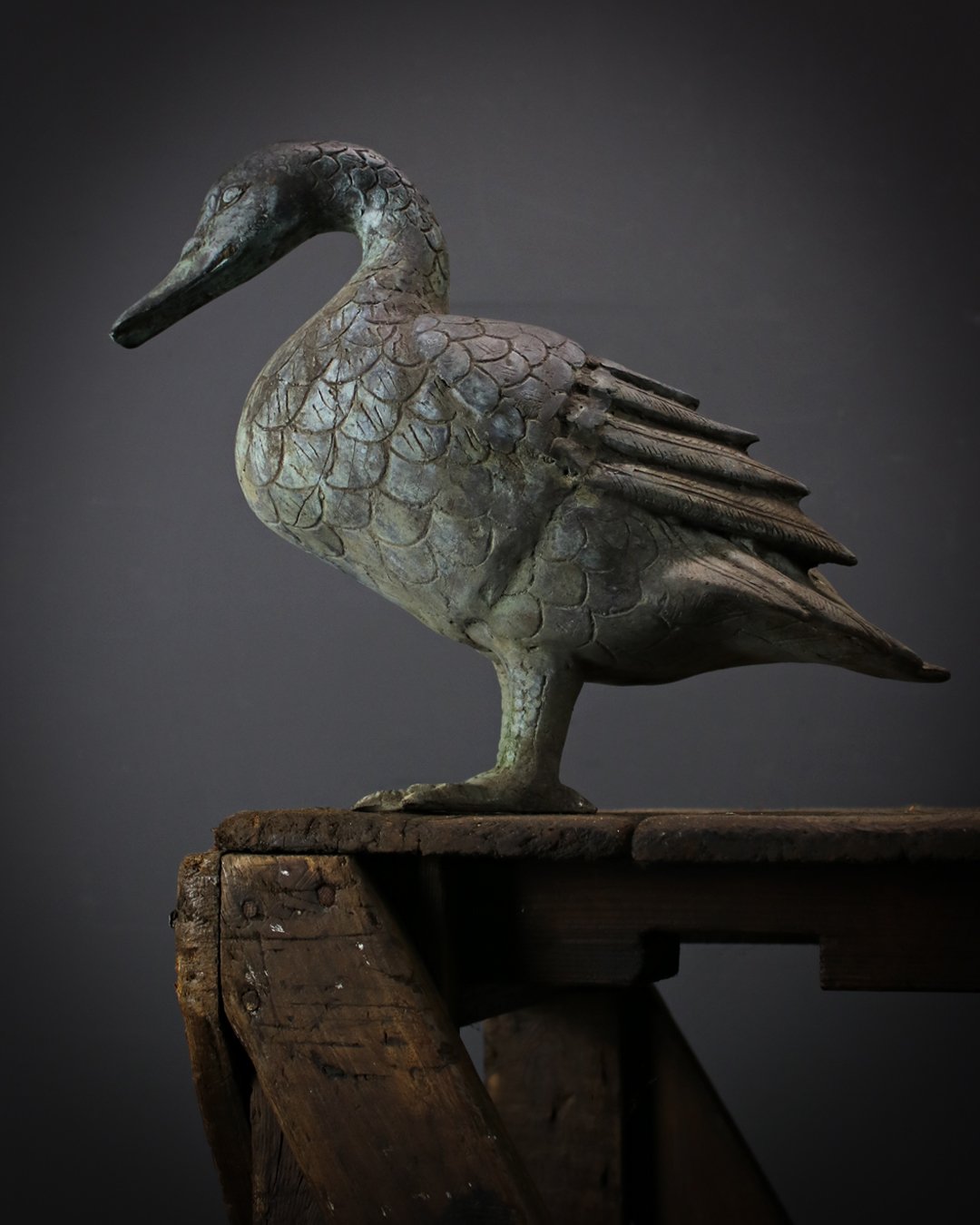 Verdigris_Duck_1.jpg