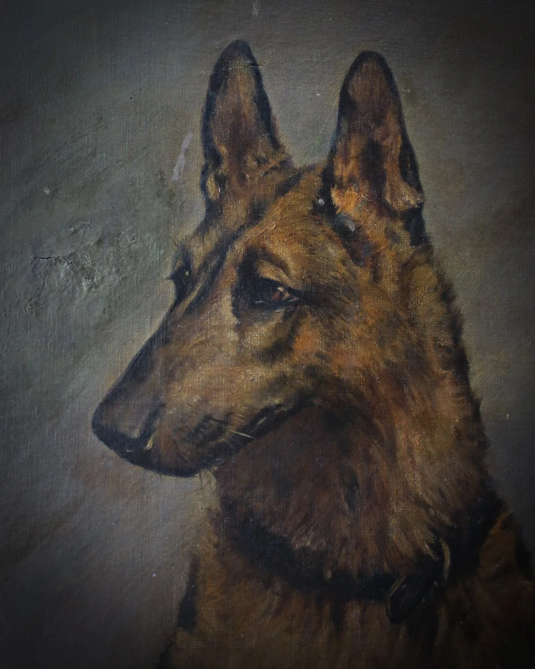 German_Shepherd_Oil_on_Canvas_2.jpg