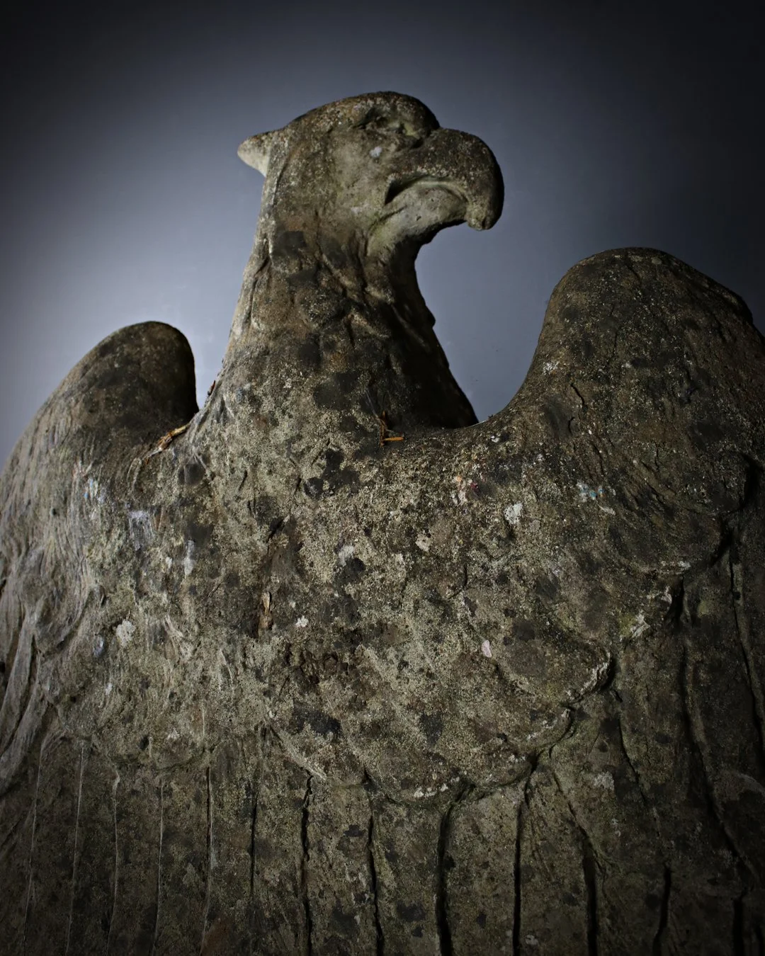 Pair_of_Eagles_6.jpg