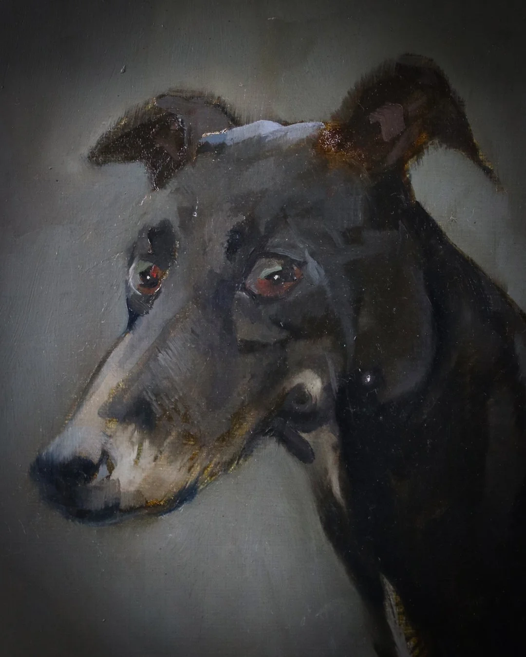 Large_Greyhound_Portrait_Dated_1965_3.jpg