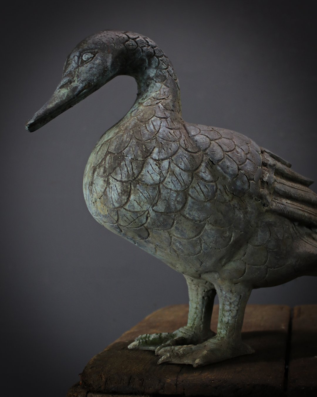 Verdigris_Duck_3.jpg