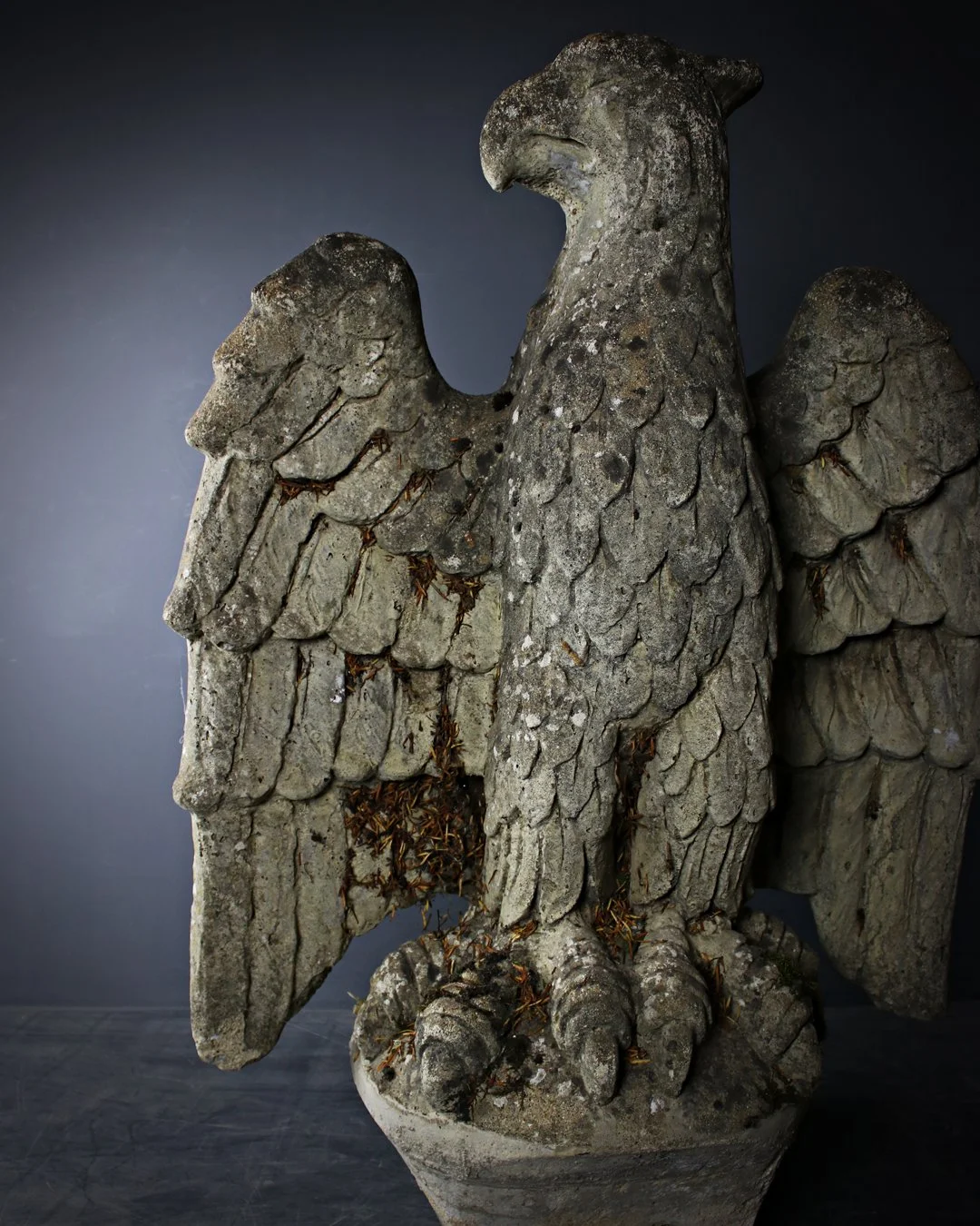 Pair_of_Eagles_8.jpg