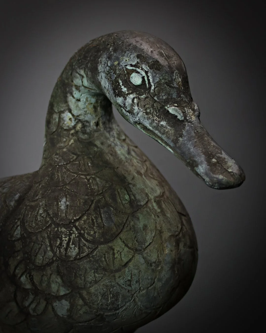 Verdigris_Duck_2.jpg