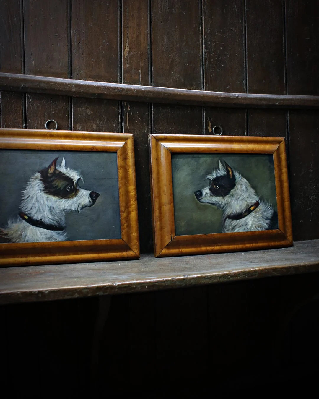 Pair_of_Terrier_Oils_6.jpg