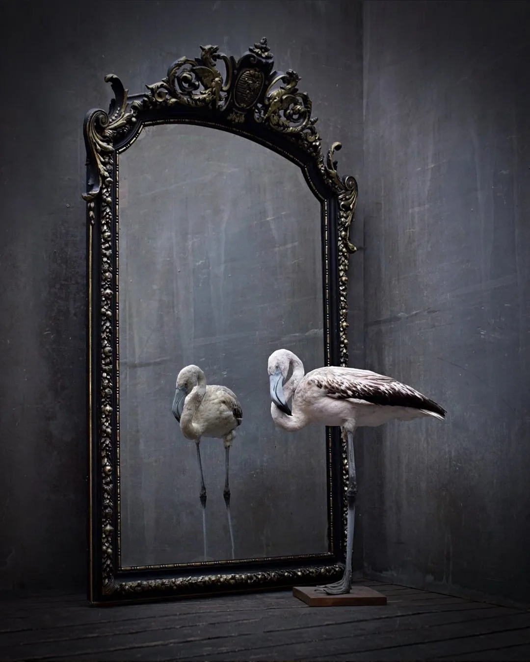 Mirror_1.jpg