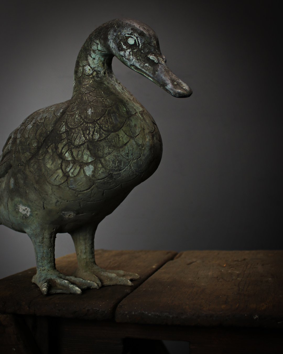 Verdigris_Duck_5.jpg