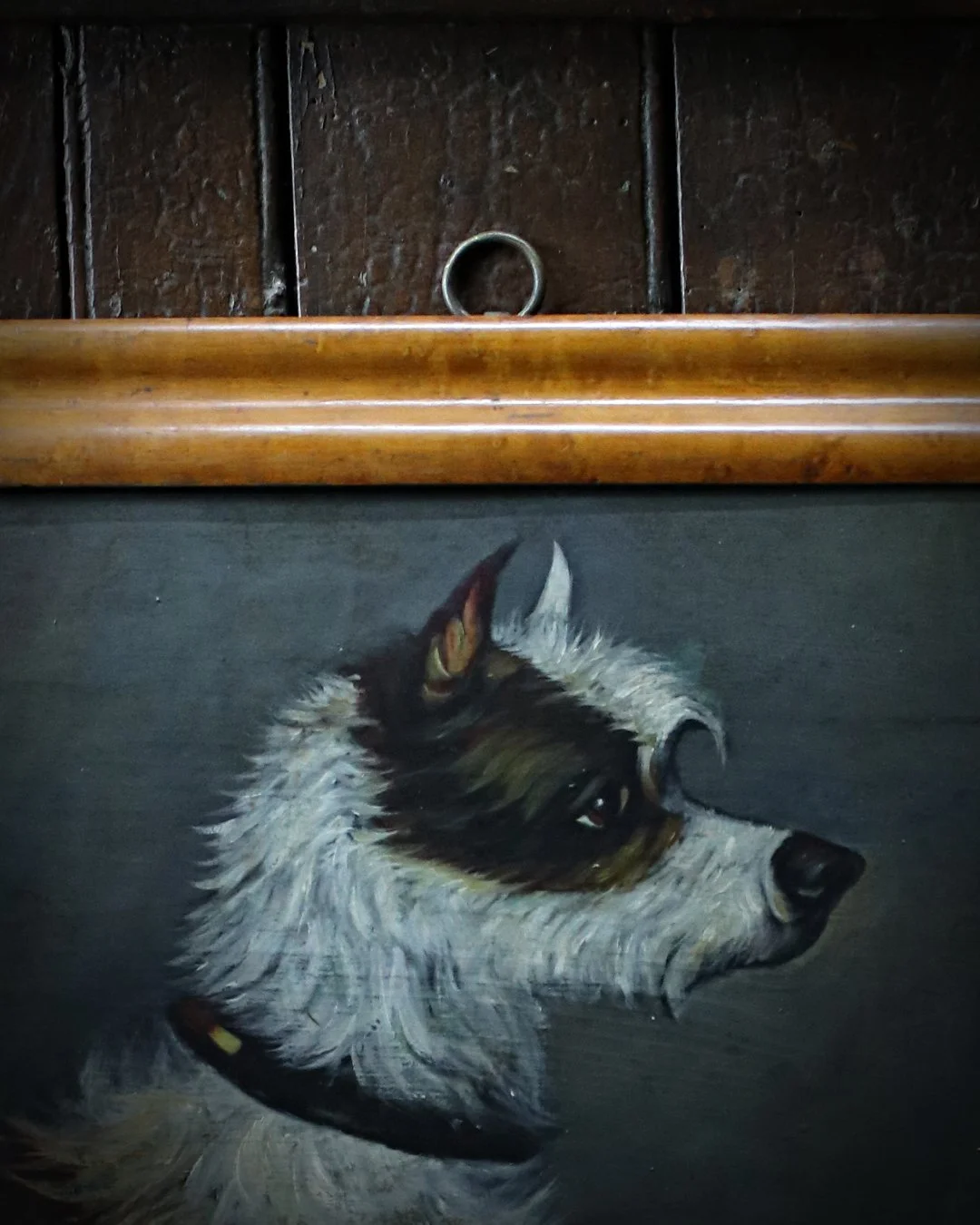 Pair_of_Terrier_Oils_4.jpg