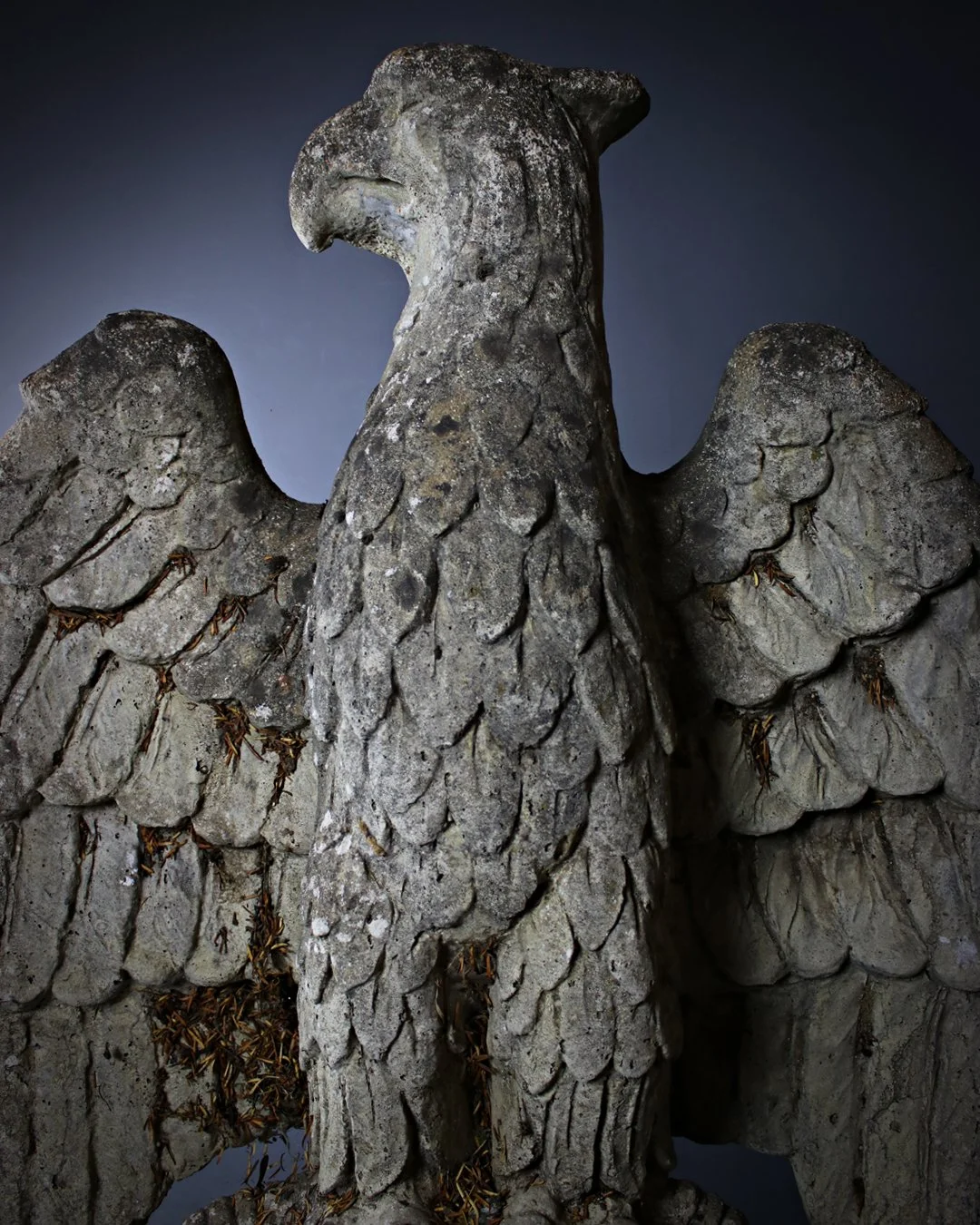 Pair_of_Eagles_4.jpg