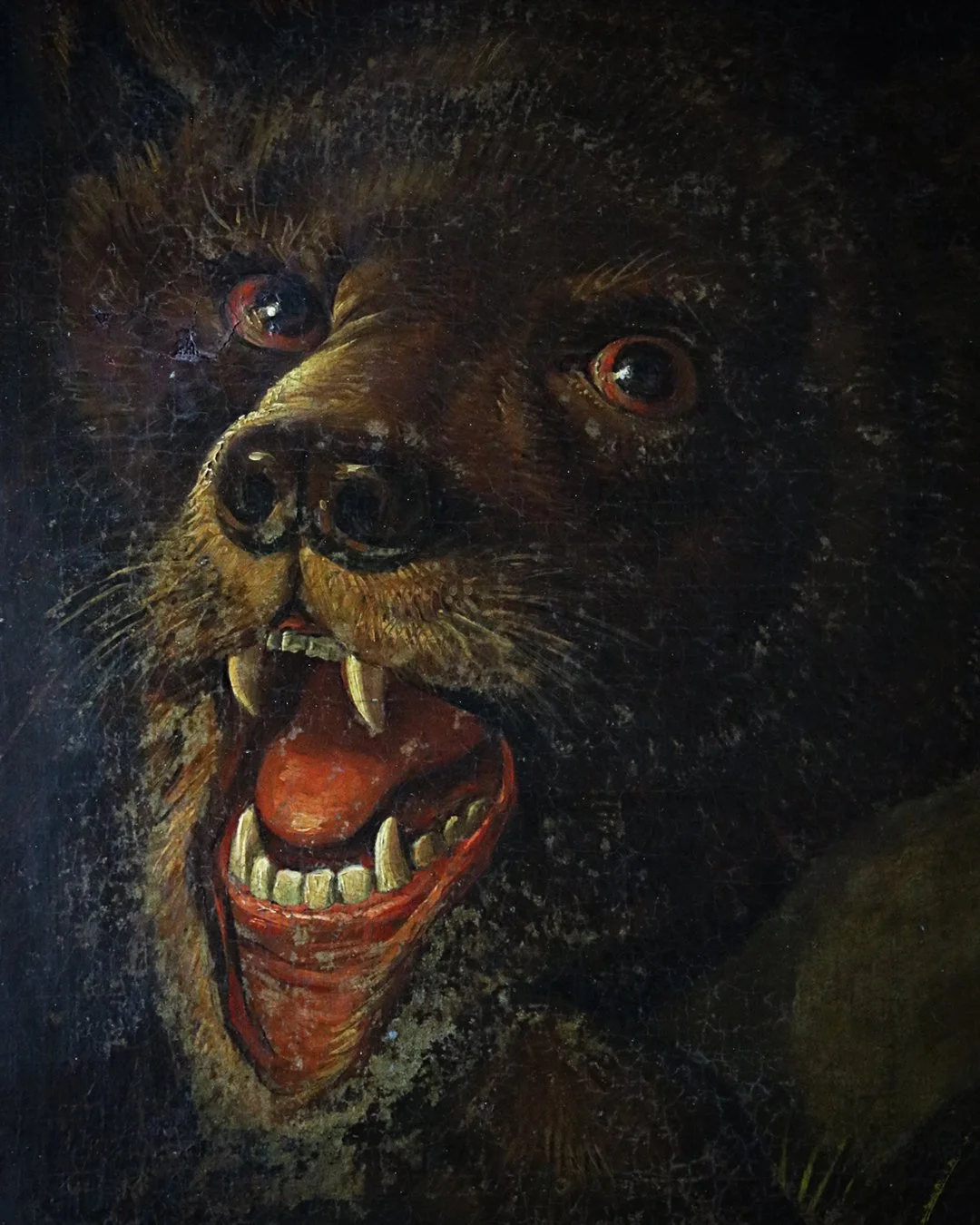 Bear_Oil_on_Canvas_4.jpg