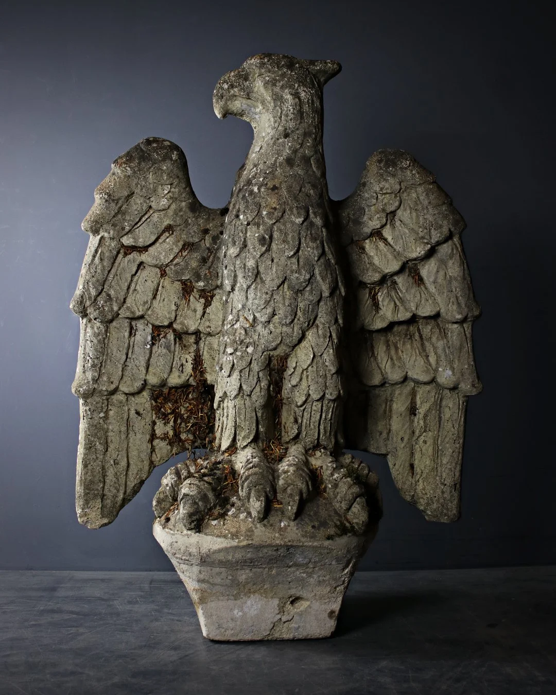 Pair_of_Eagles_2.jpg