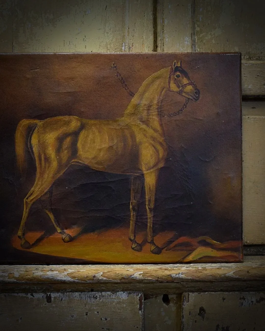 Horse_Oil_1.jpg