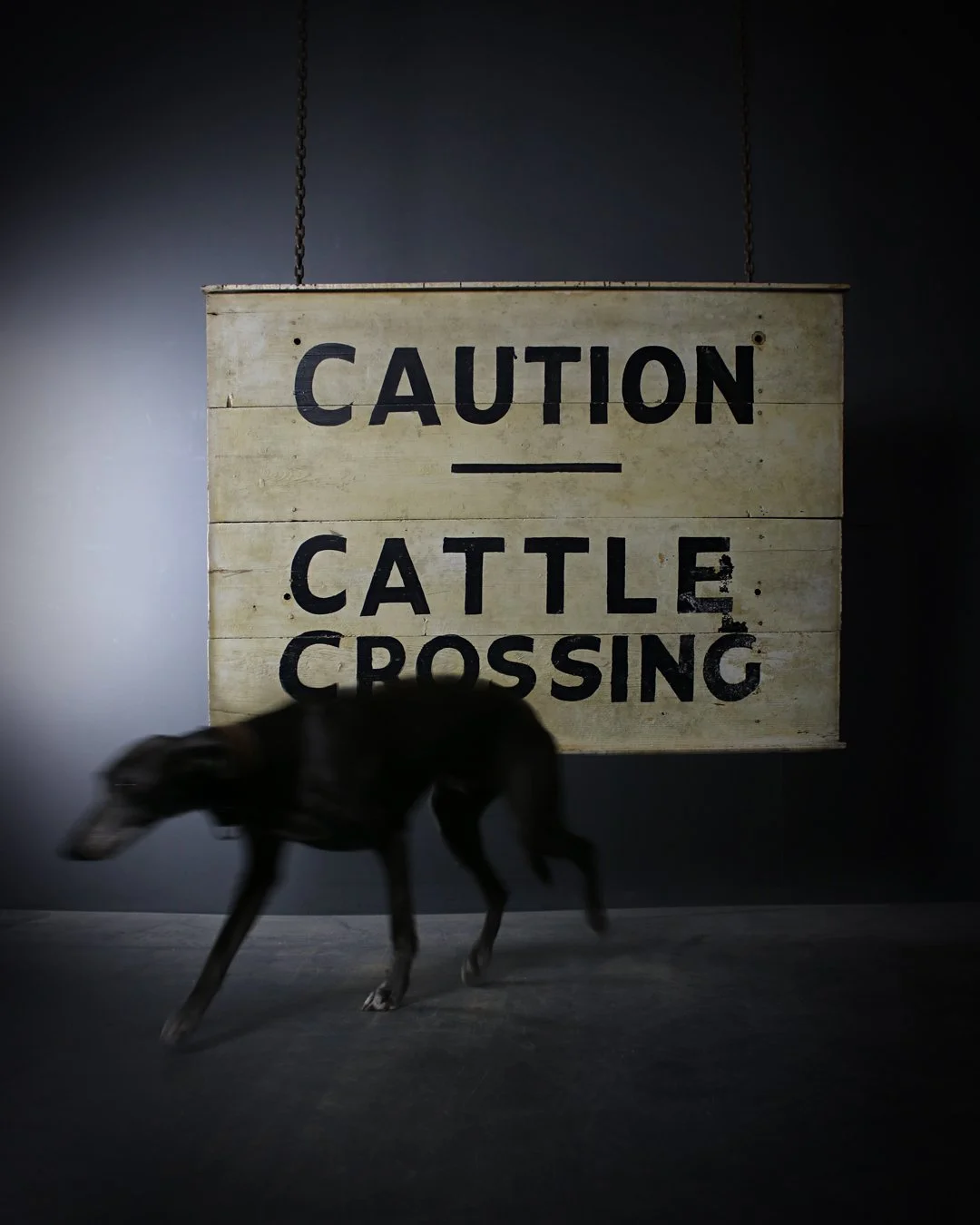 Cattle_Crossing_Sign_1.jpg