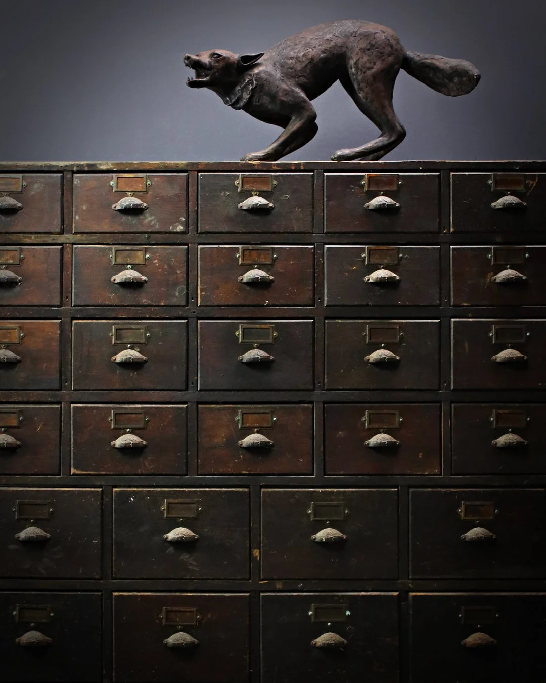 Huge_Apothecary_Drawers_3.jpg