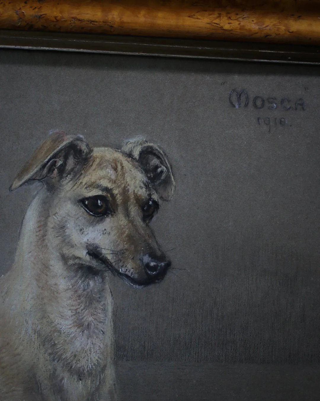 'MOSCA'_Victorian_Chalk_Portrait_3.jpg