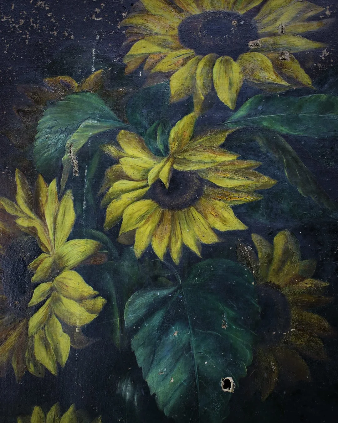 Sunflower_Oil_on_Canvas_4.jpg