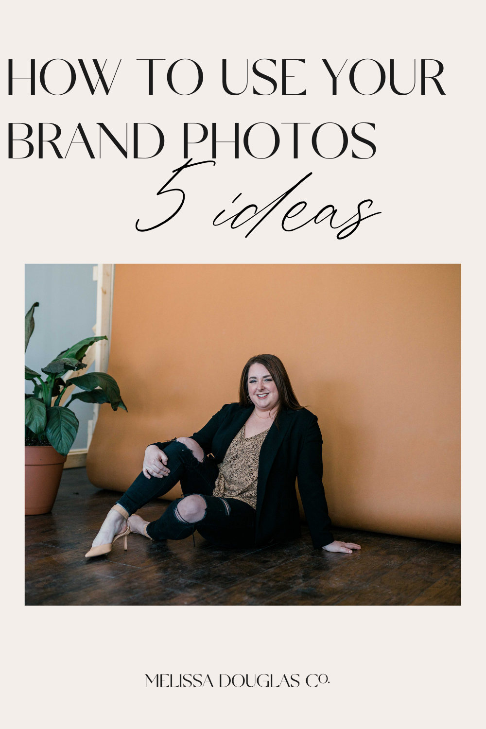 amanda may designs at west photo studio ferndale michigan how to use your brand photos