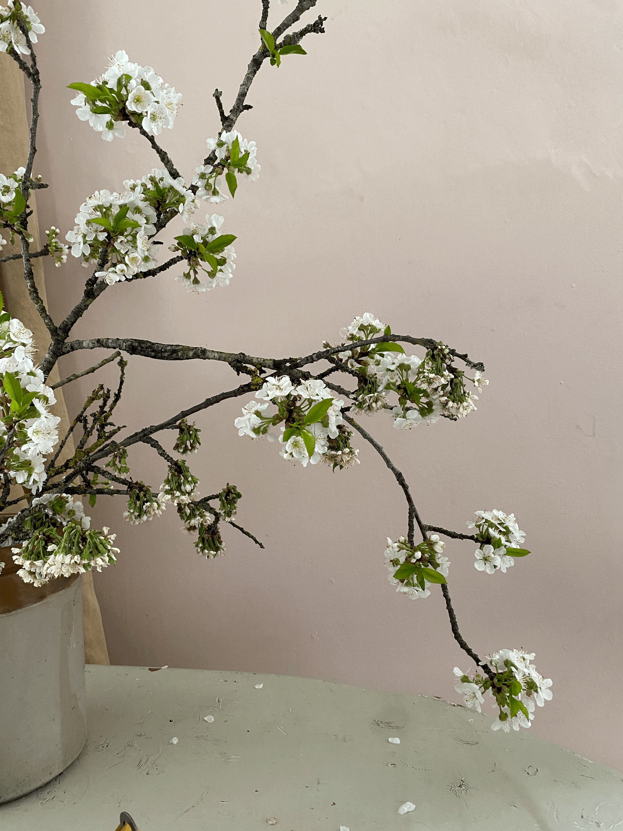 RECORDED: STILL LIFE