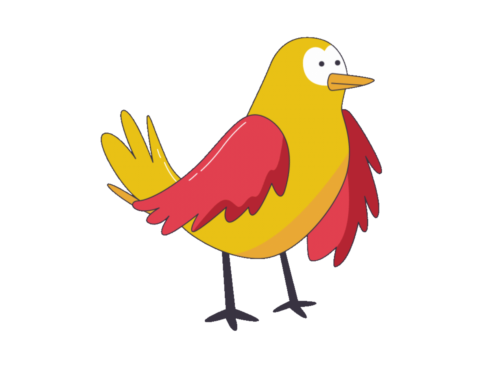 Bird Myths
