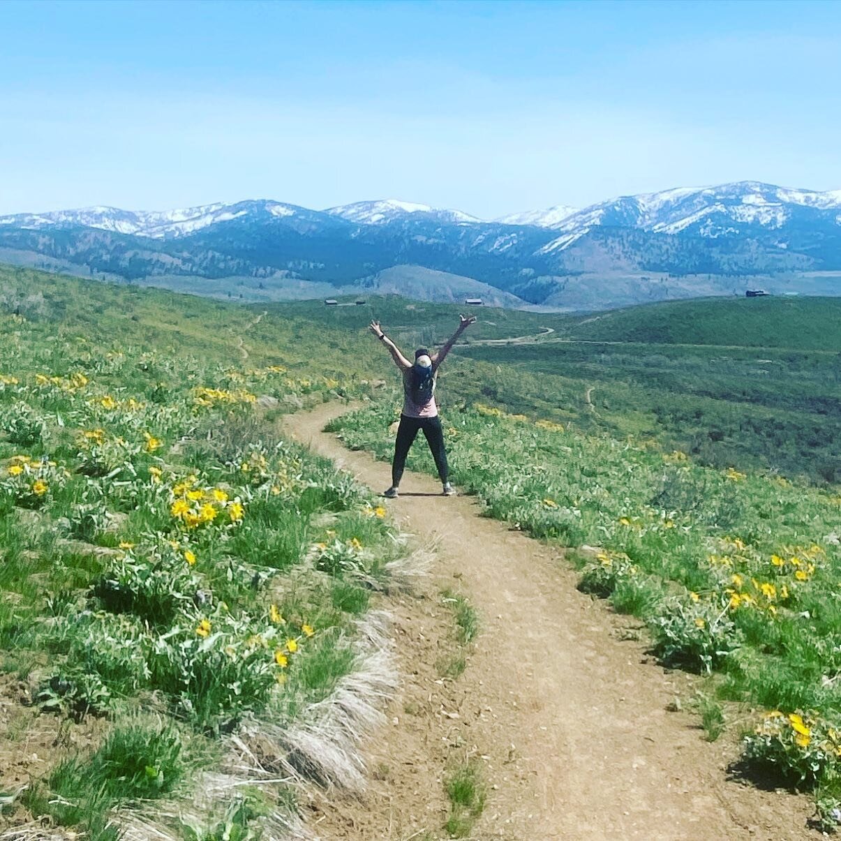 The flowers are poppin!!! Come see the sunflowers explode on our hillsides 😍🌻