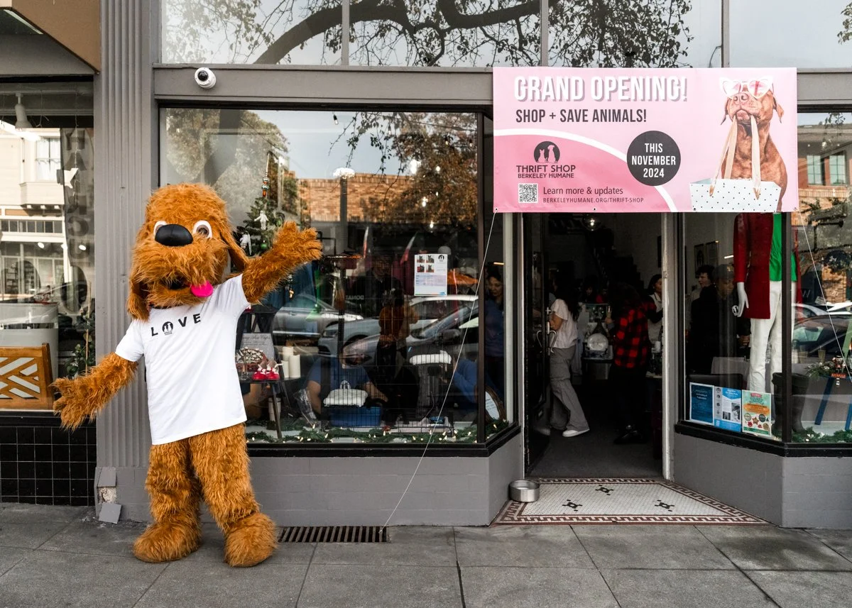 Berkeley-Humane-Thrift-Shop-Lana-Wright-Photography.jpg