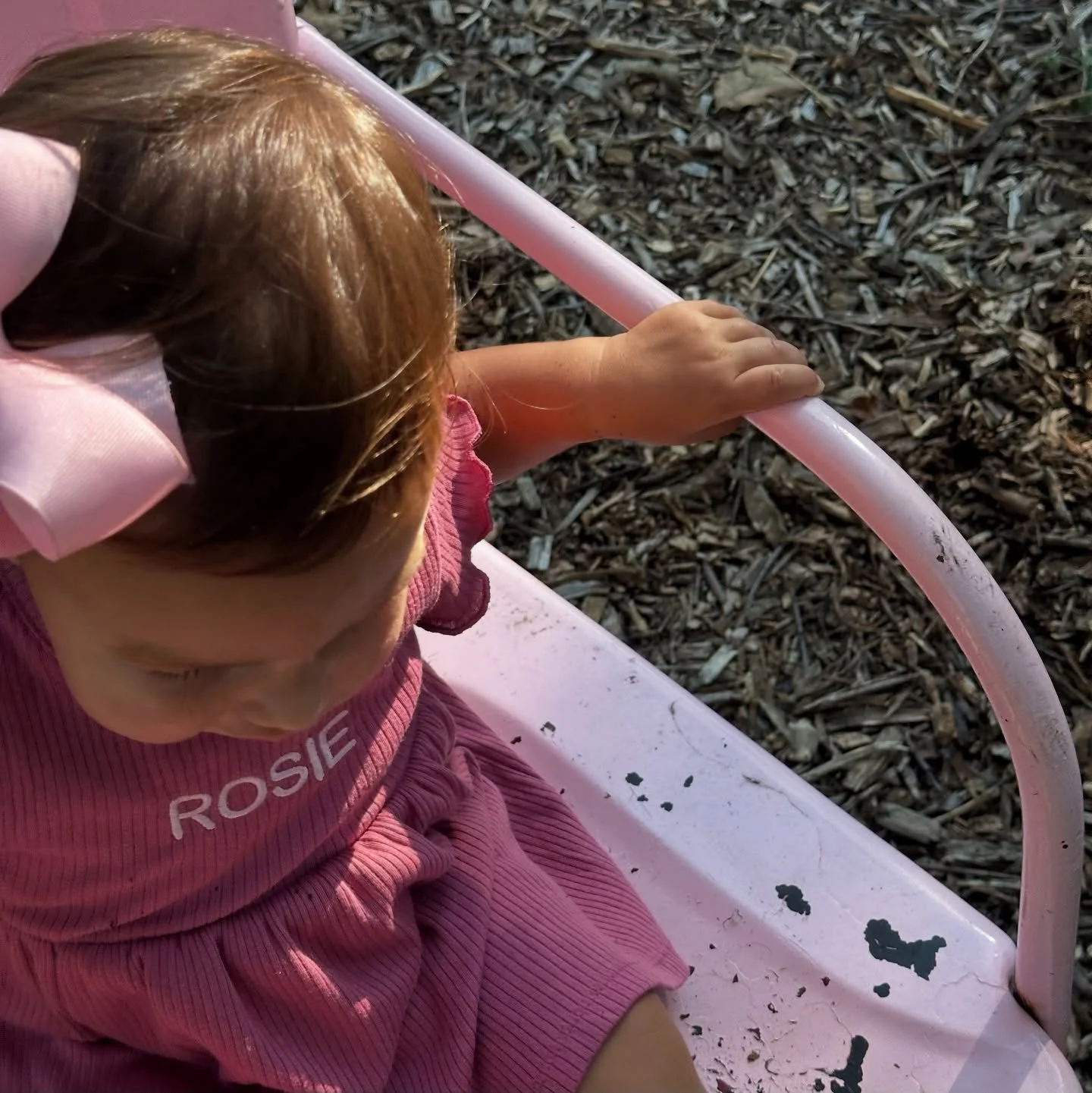 biiig nature girl energy this summer &amp; clearly we are big @theflowermeadow fangirls! 💐🐷🧺 so so grateful for these memories.